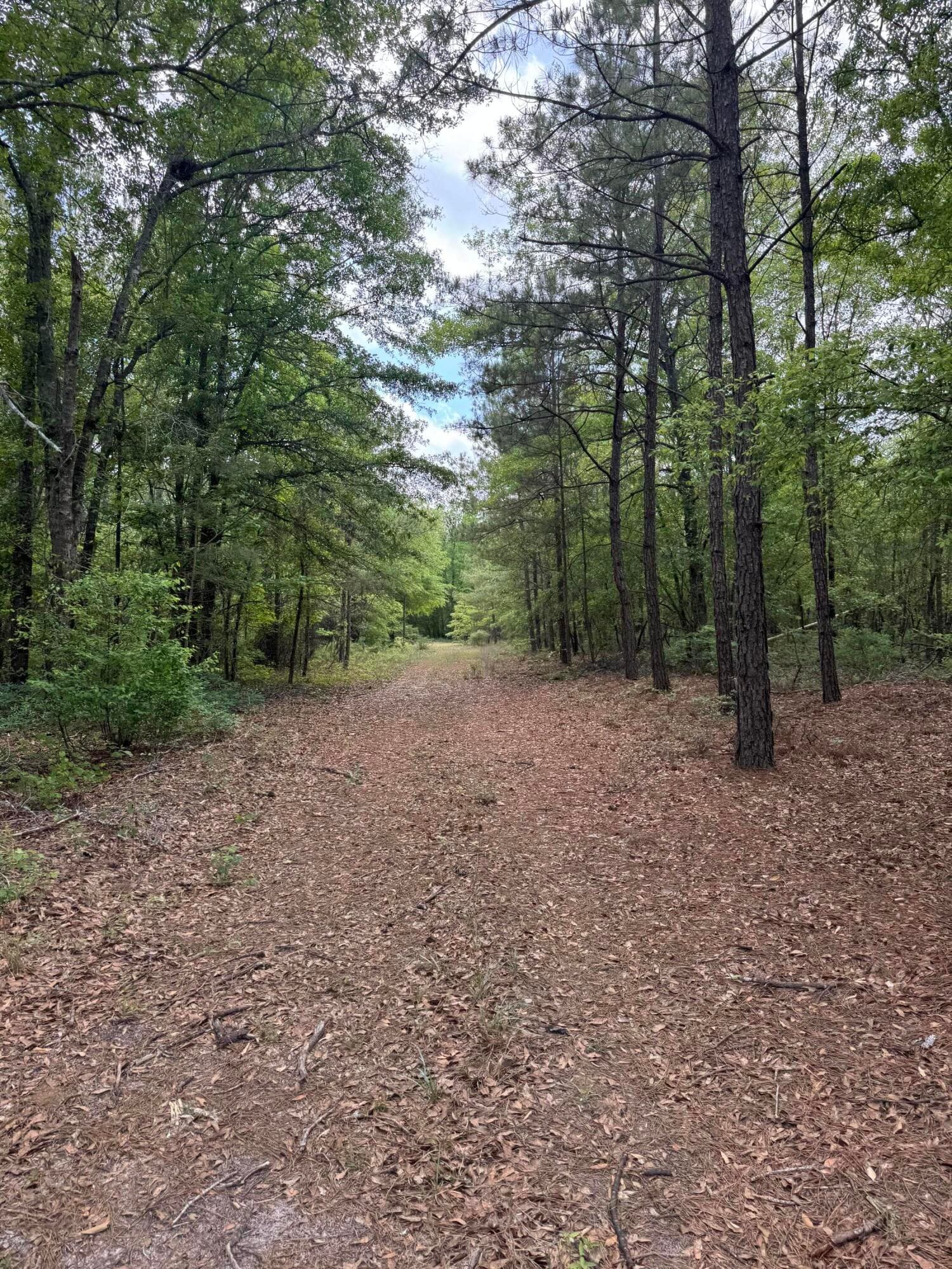 Undeveloped at 745 Wright Allen Road, Blythe, GA 30805, photo 13 of 18