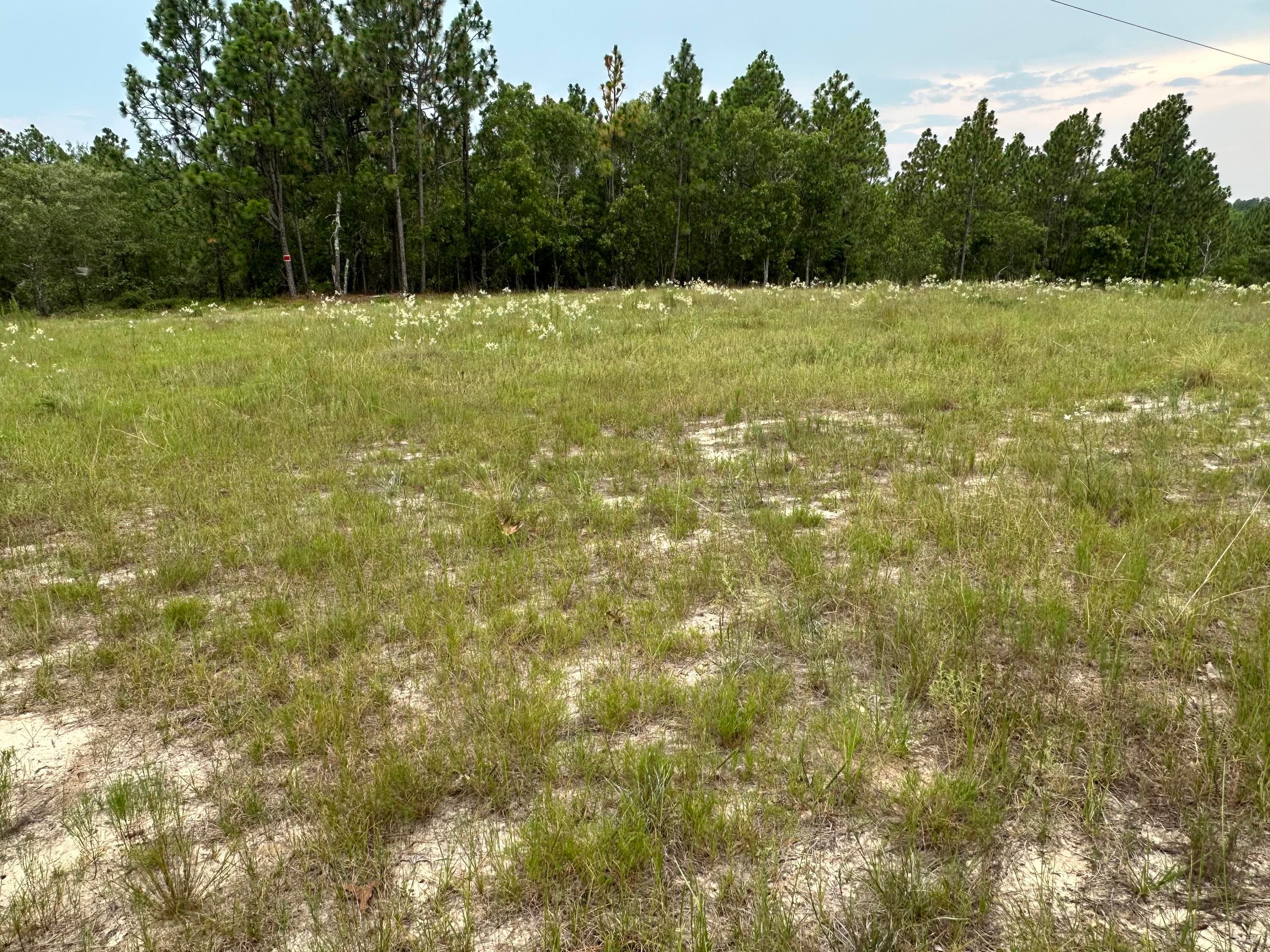 2070 Greenland Road, Blythe, GA 30805