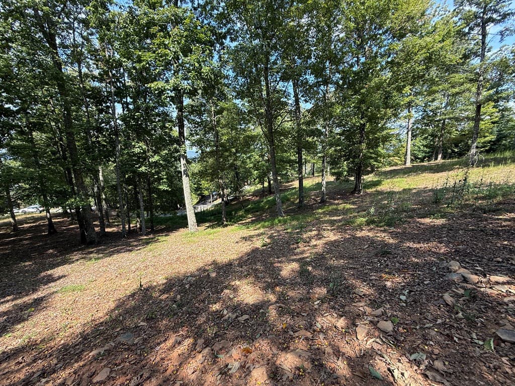 Residential Lot at 123 Madison Lane, Murphy, NC 28906, photo 8 of 10