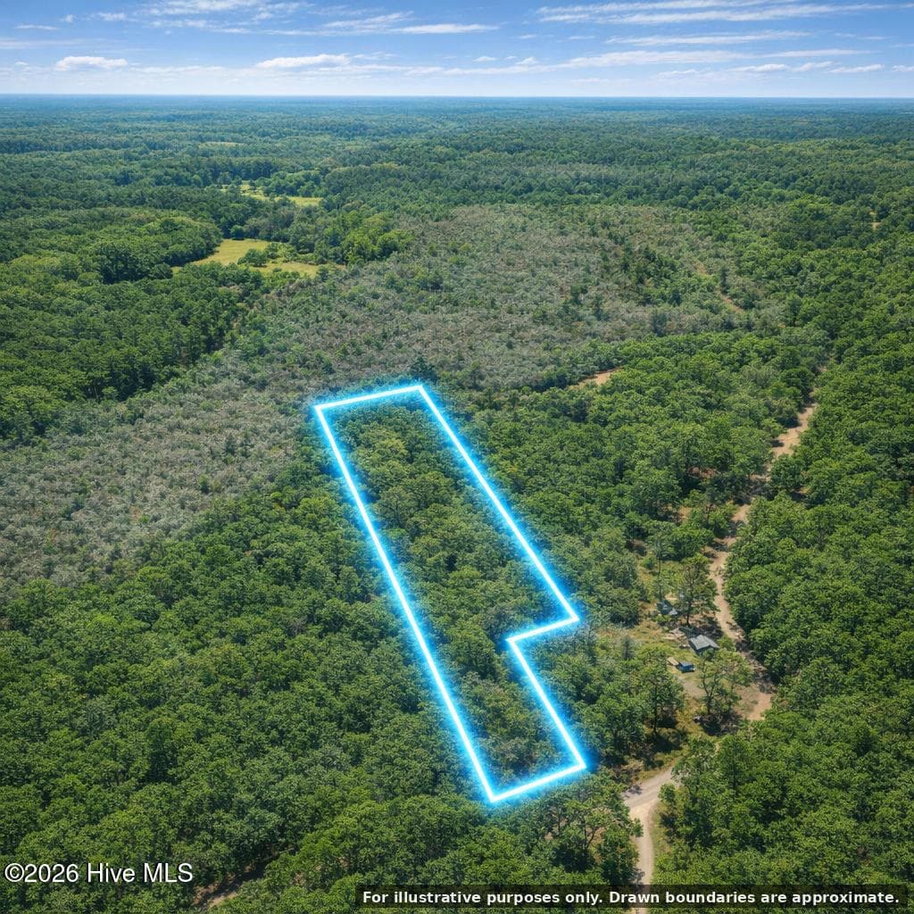 Undeveloped at 0 Copperhead Lane, Burgaw, NC 28425, photo 19 of 24