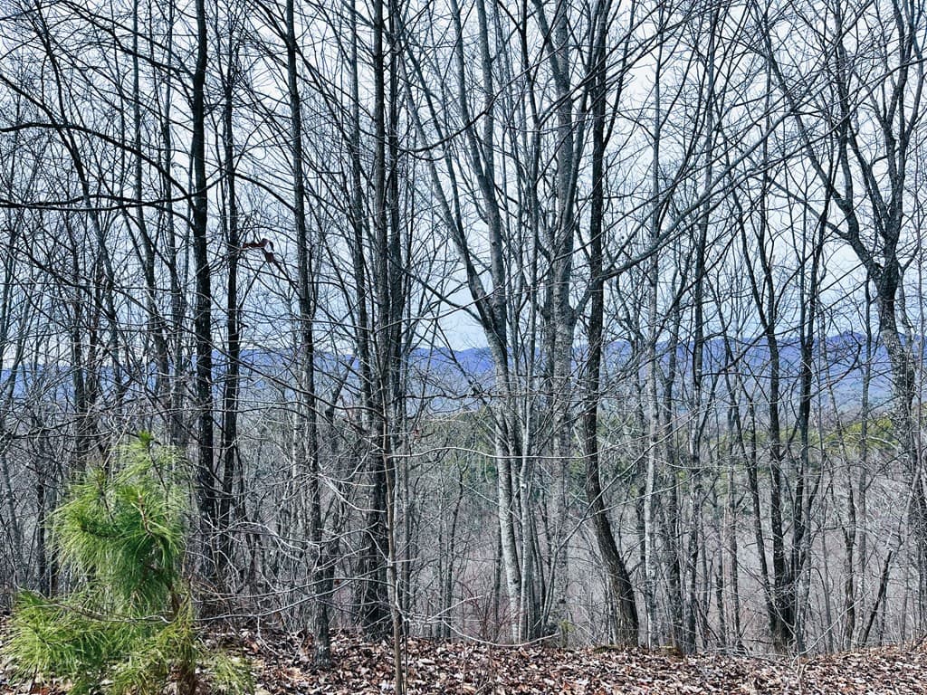 Land at 1441 Valley View Heights Lane, Andrews, NC 28901, photo 5 of 11