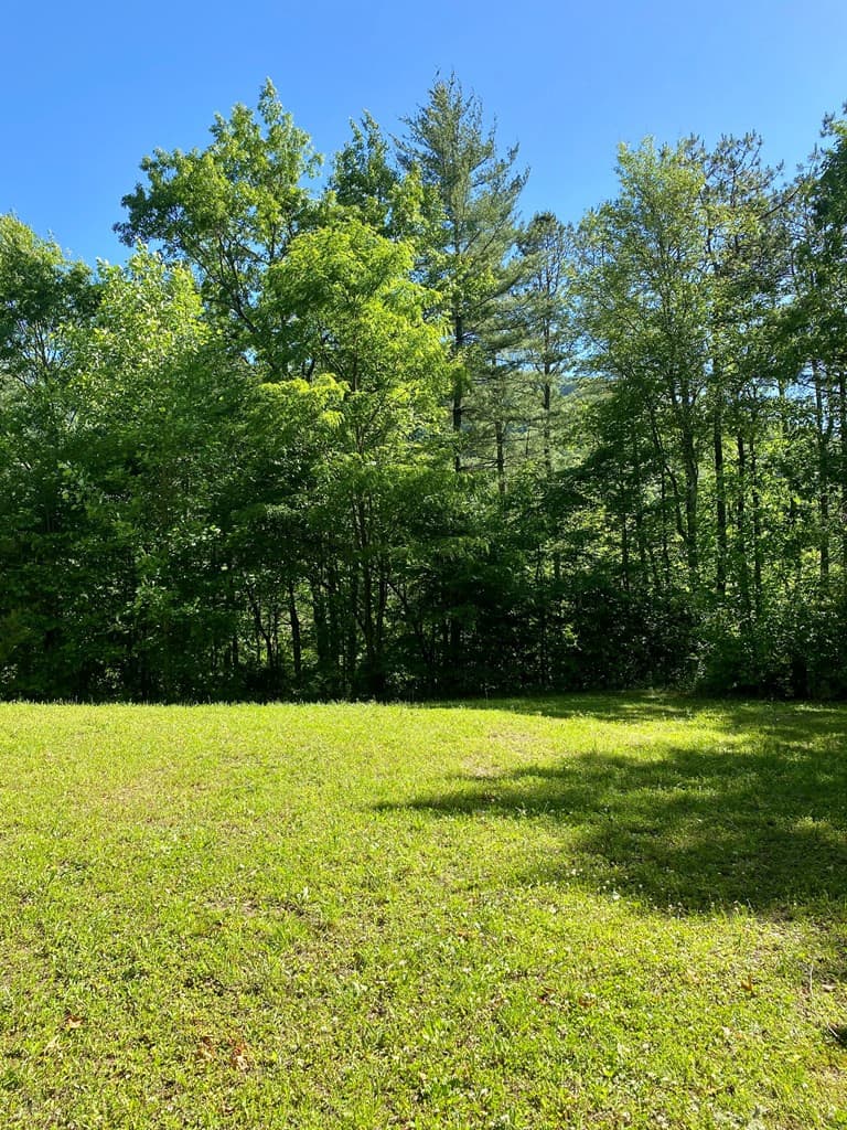 Land at 00 Deer Run, Robbinsville, NC 28771, photo 2 of 5