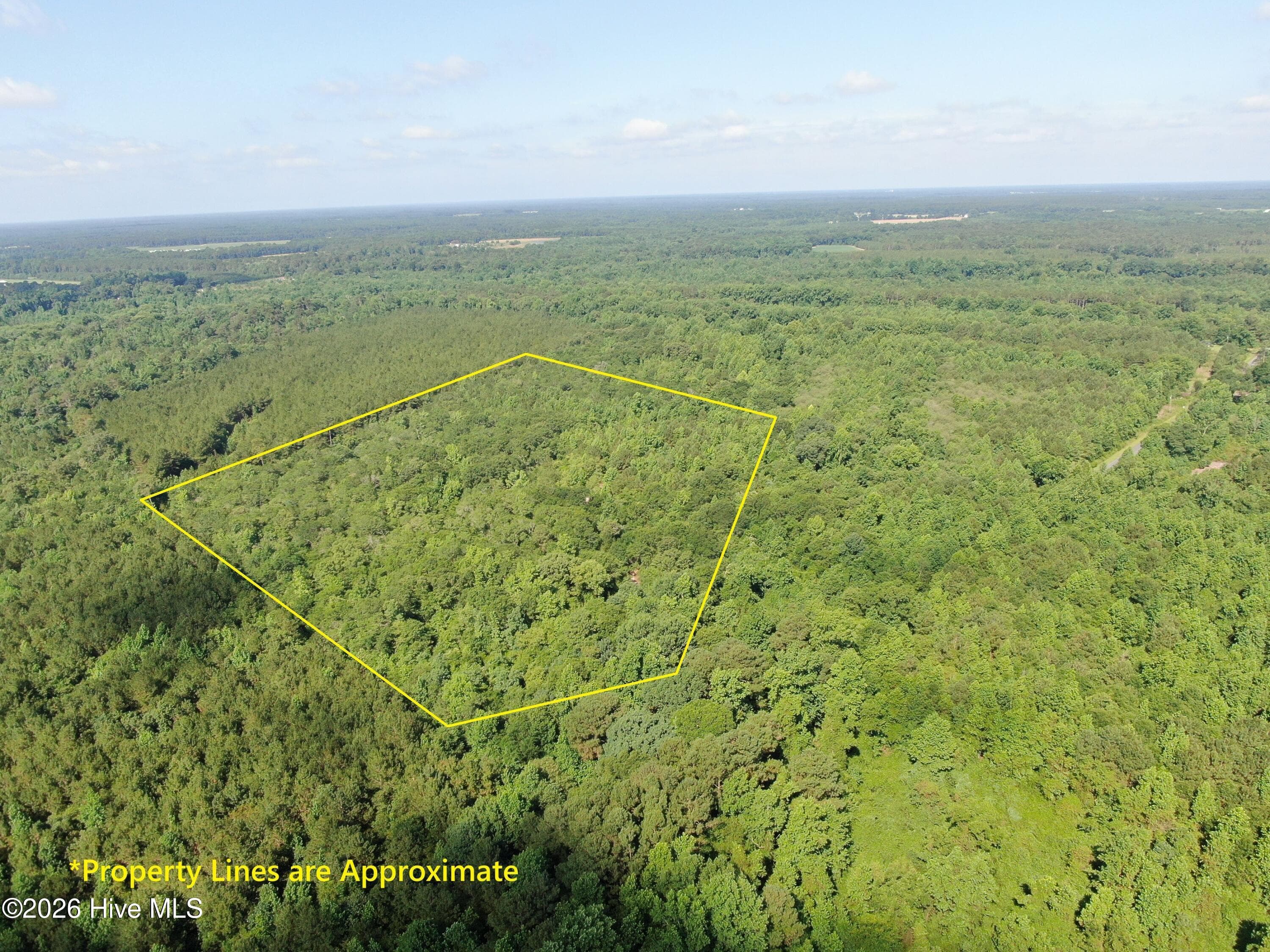 Wooded at Tbd Oliver Carlton Road, Warsaw, NC 28398, photo 2 of 17