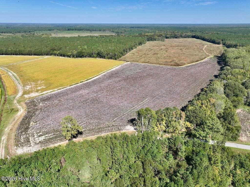 Mixed Use at 0 Spring Hill Road, Scotland Neck, NC 27874, photo 82 of 93