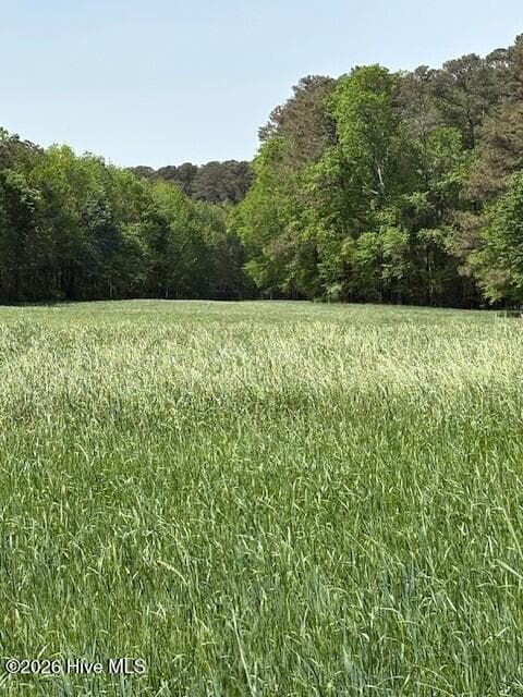 Agriculture at 000 Leon Road, Nashville, NC 27856, photo 2 of 6