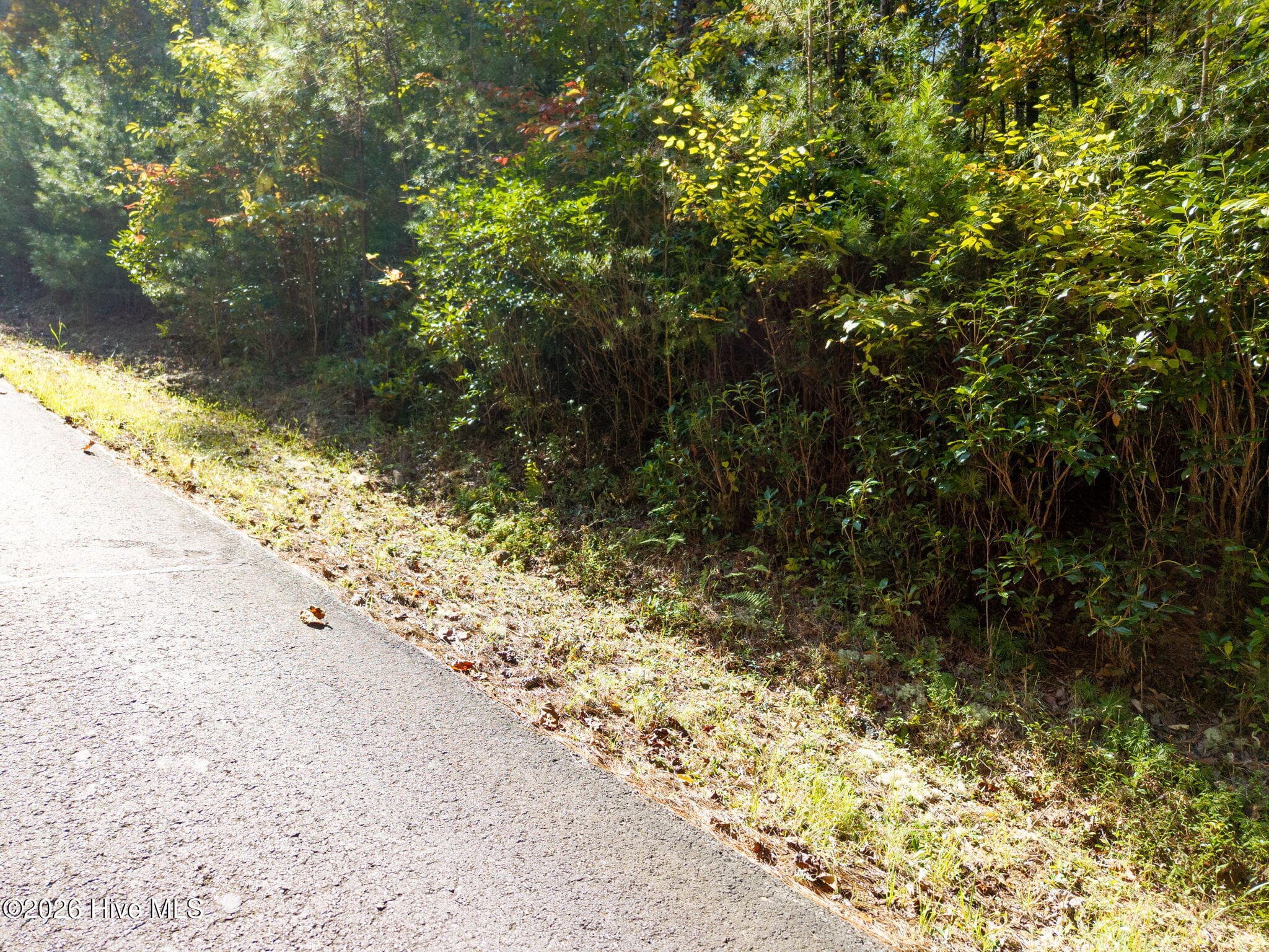 Residential Lot at 71 Nature Trail, Murphy, NC 28906, photo 19 of 19