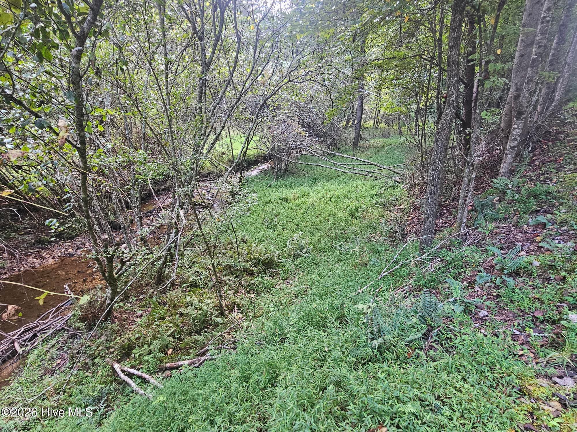 Residential Lot at 0 Wildcat Drive, Murphy, NC 28906, photo 7 of 11