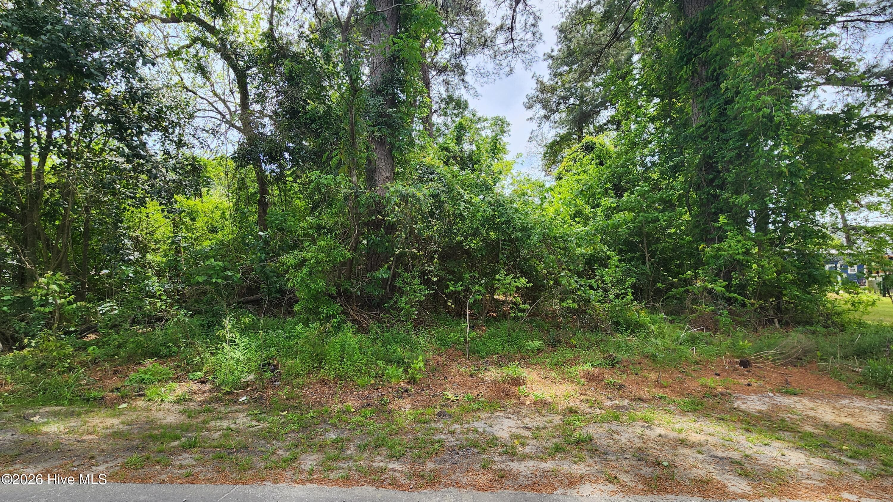 Residential Land at 15-20 W Near 108 Jackson Street, Chadbourn, NC 28431, photo 2 of 2
