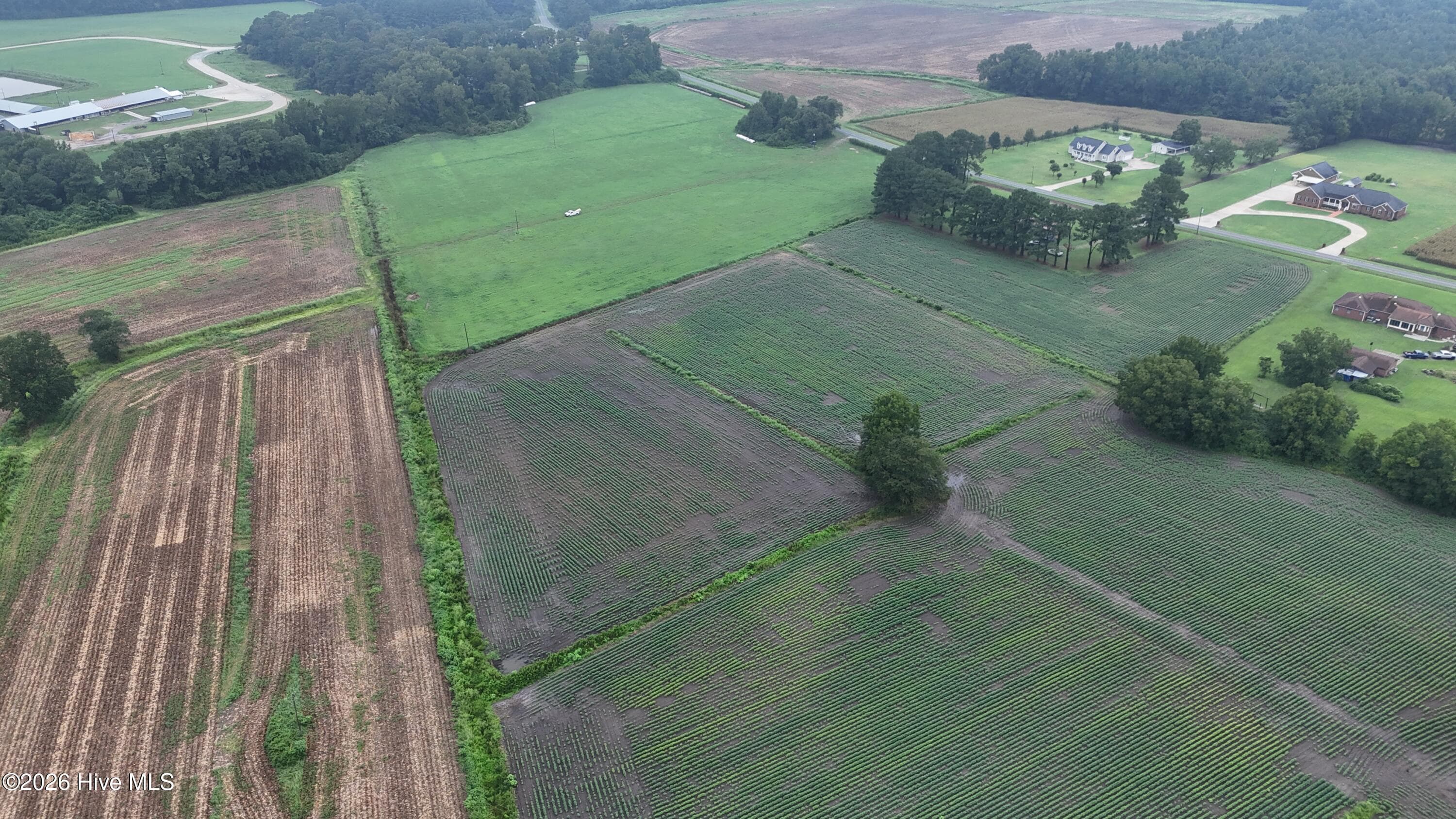 Agriculture at Near 128 Bay Rd., Rose Hill, NC 28458, photo 5 of 21