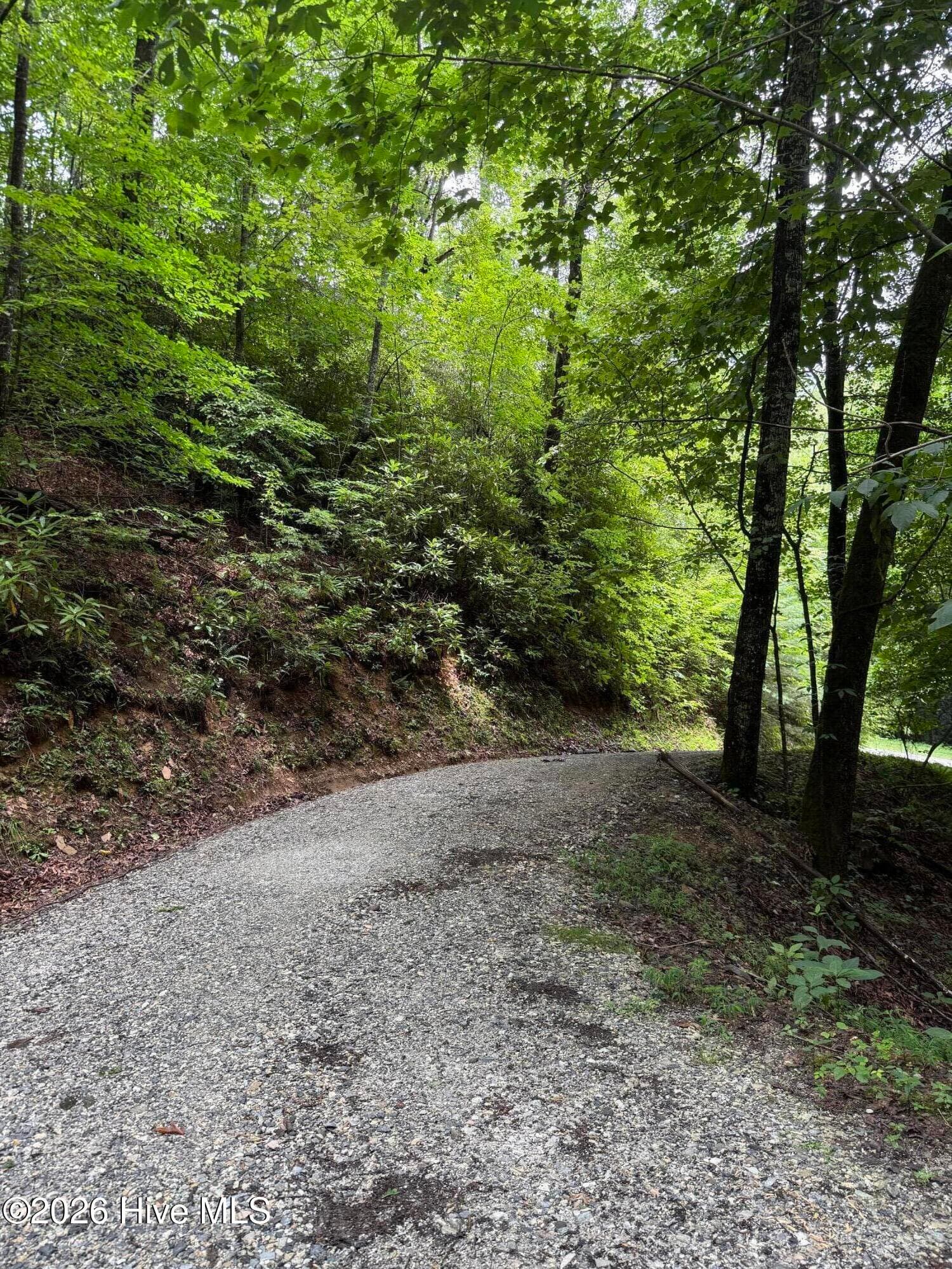 Residential Lot at Lot 8 Lot 8 Vista Loop Road Road, Topton, NC 28781, photo 2 of 9