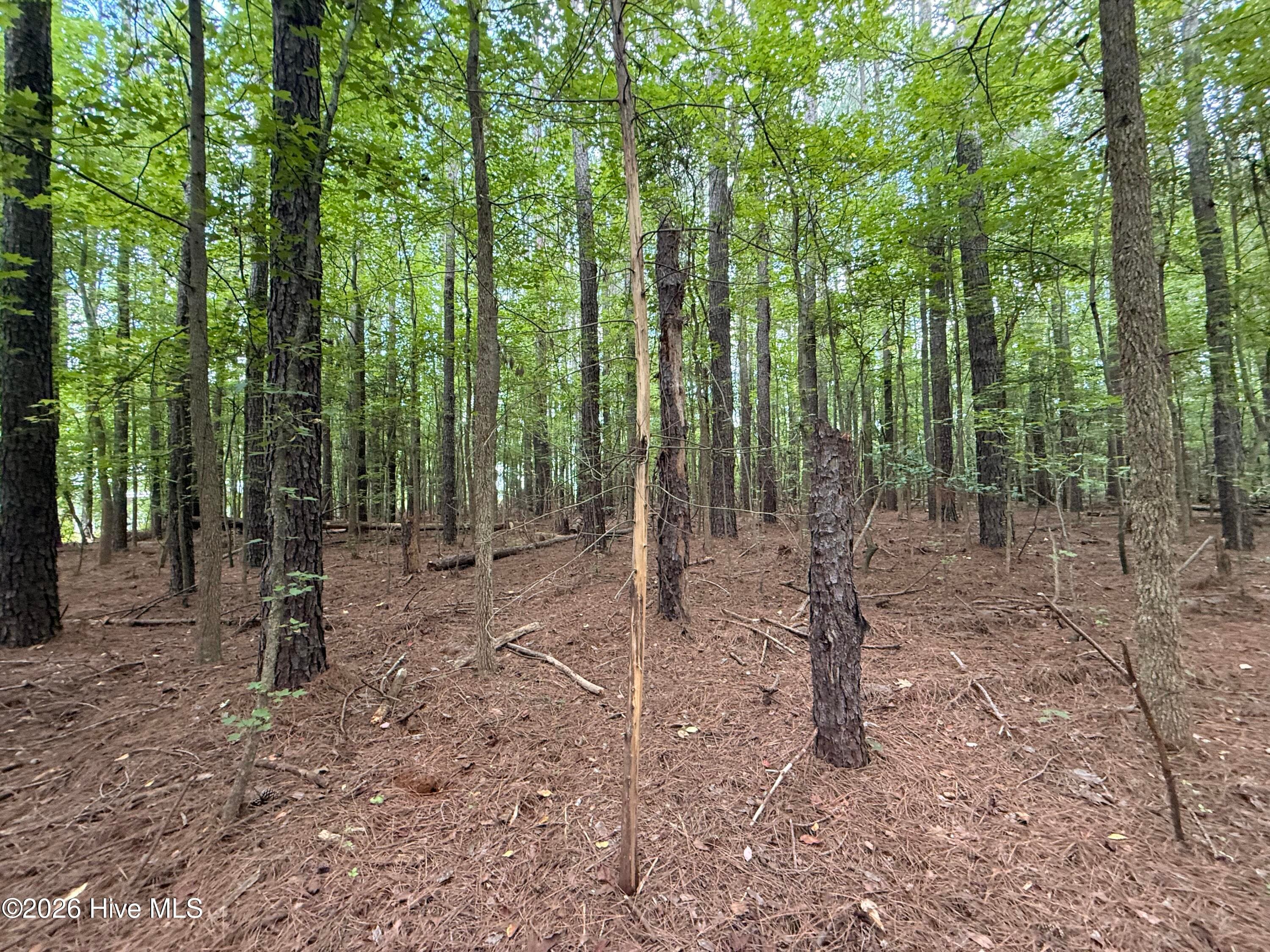 Residential Lot at Lot 2b Holland Road, Greenville, NC 27834, photo 4 of 5