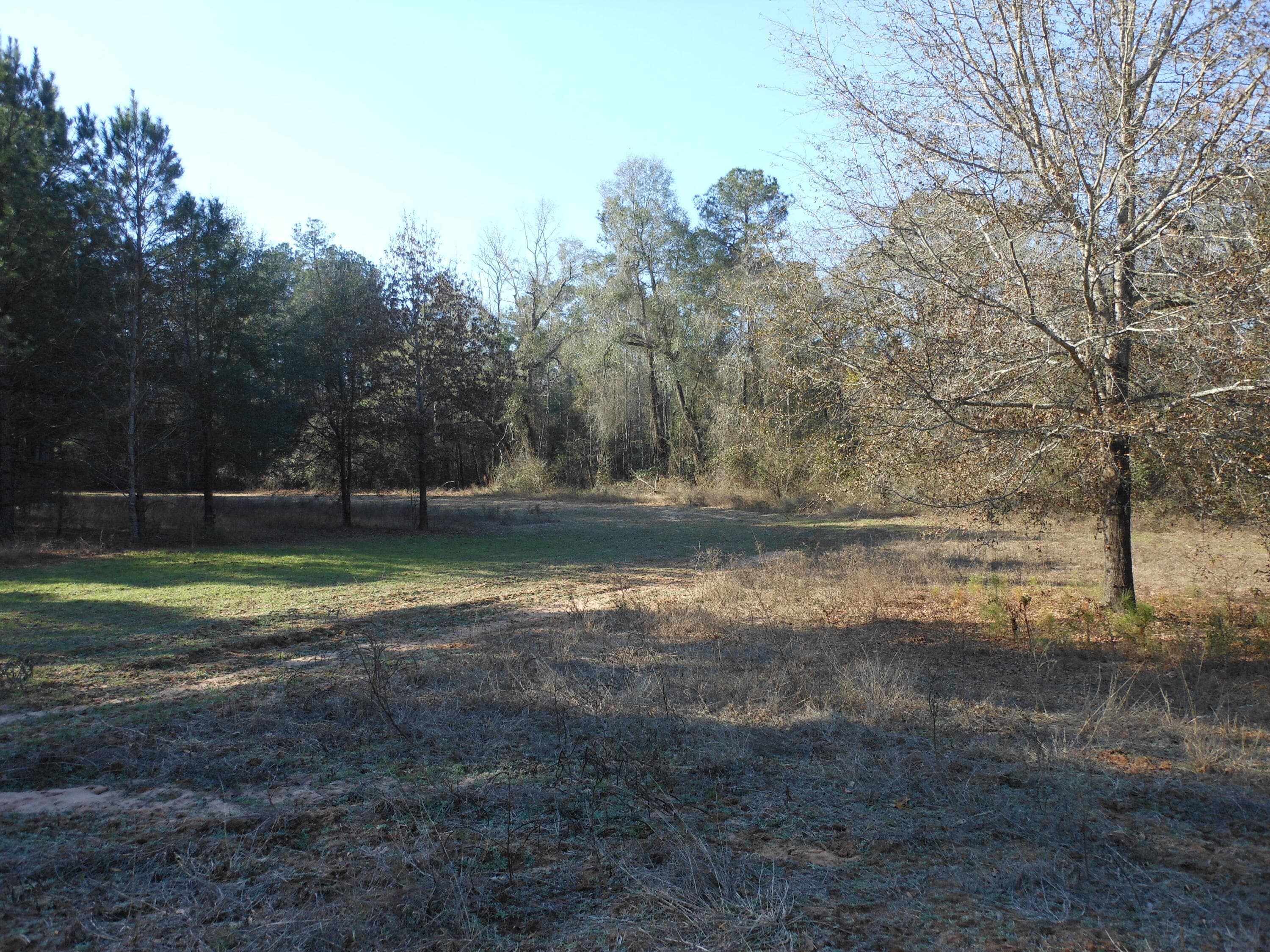 Undeveloped at 0 Ponderosa Road, Waynesboro, GA 30830, photo 24 of 45