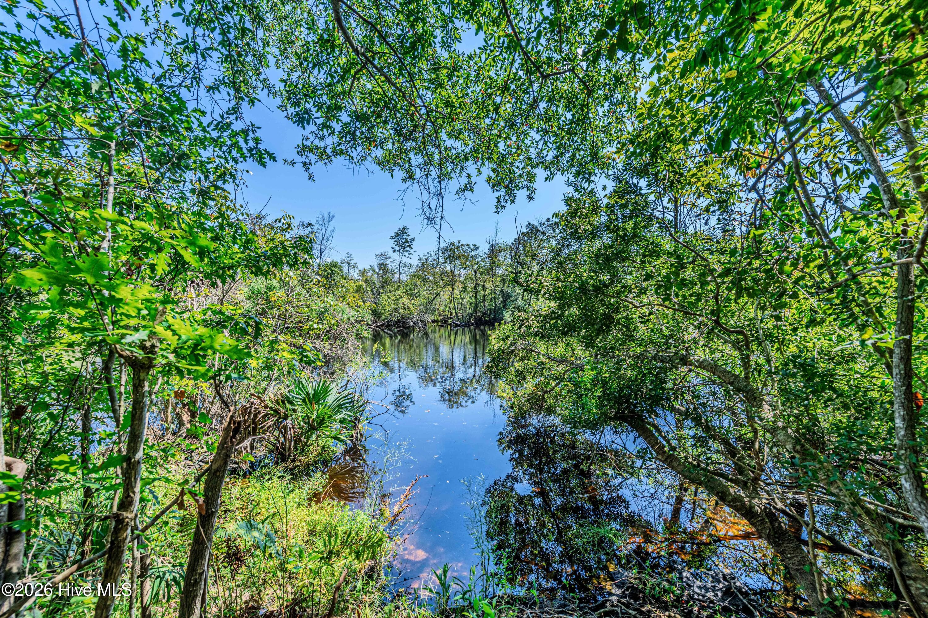 Single Family Residence at 289 Blue Top Road, Jacksonville, NC 28540, photo 62 of 70