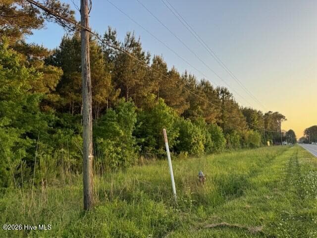 Unimproved Land at 53 Nc Hwy 53, Burgaw, NC 28425, photo 6 of 11