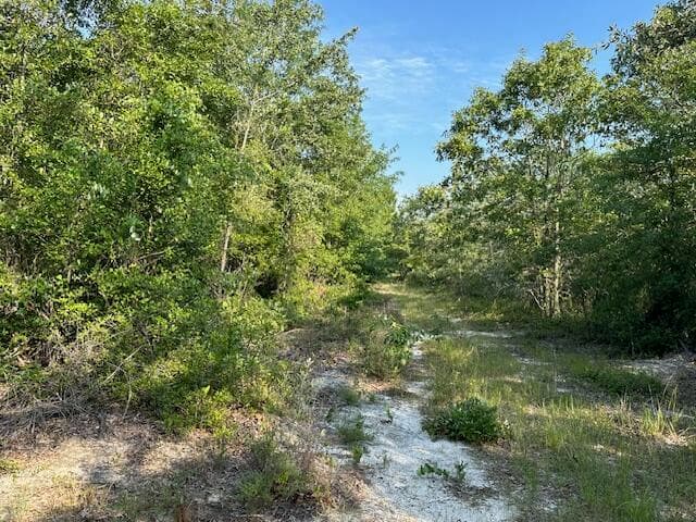 Undeveloped at 2576 Jessie James Pond Road, Wrens, GA 30833, photo 54 of 56