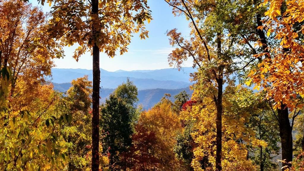 Land at 00 E Alarka Road, Bryson City, NC 28713, photo 21 of 28