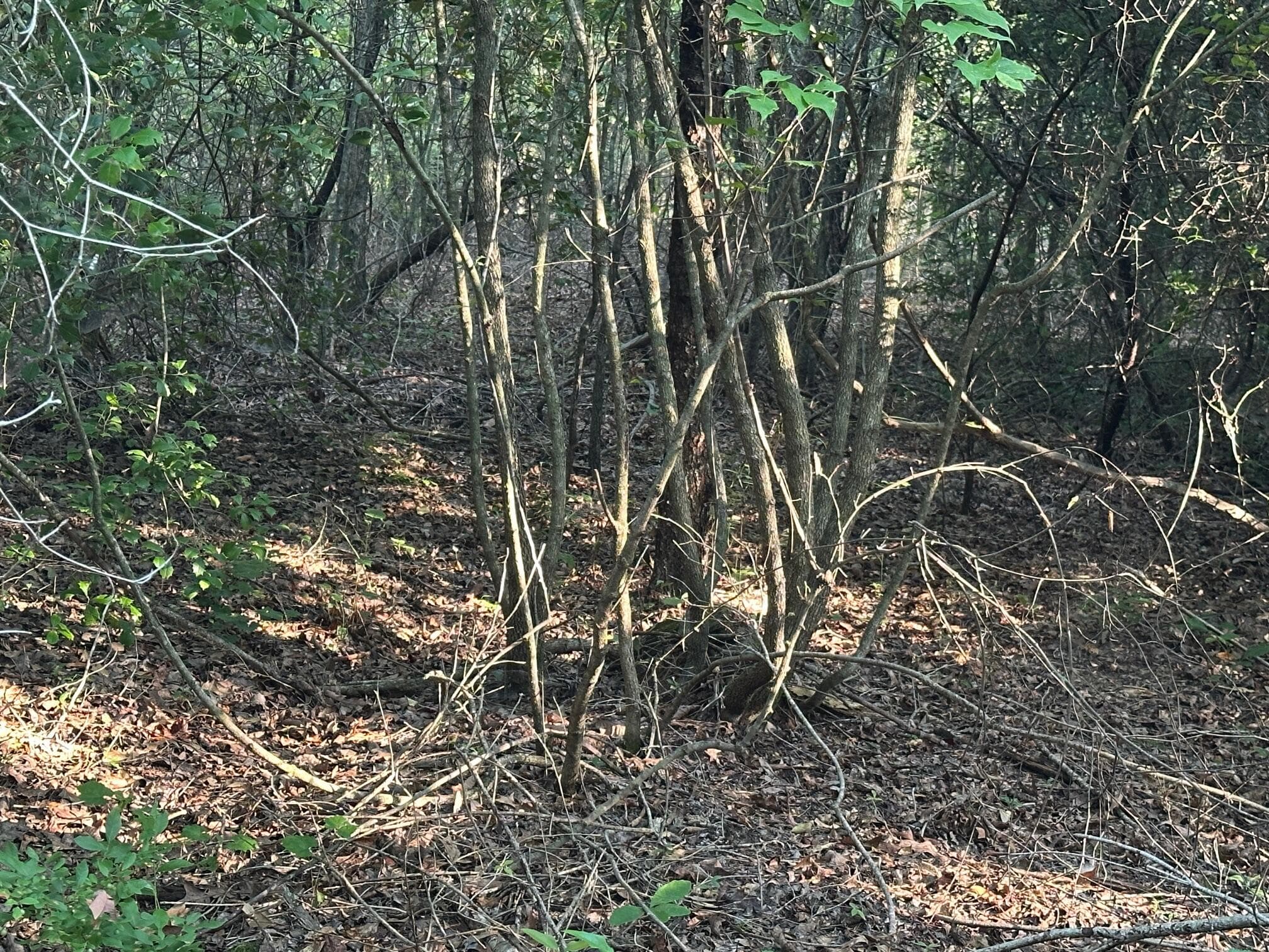 Undeveloped at 2576 Jessie James Pond Road, Wrens, GA 30833, photo 37 of 56