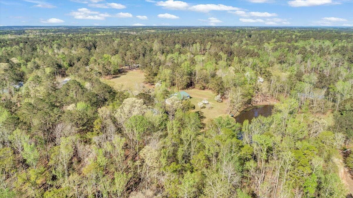 Single Family Residence at 7025 Rance Perry Road, Appling, GA 30802, photo 30 of 69