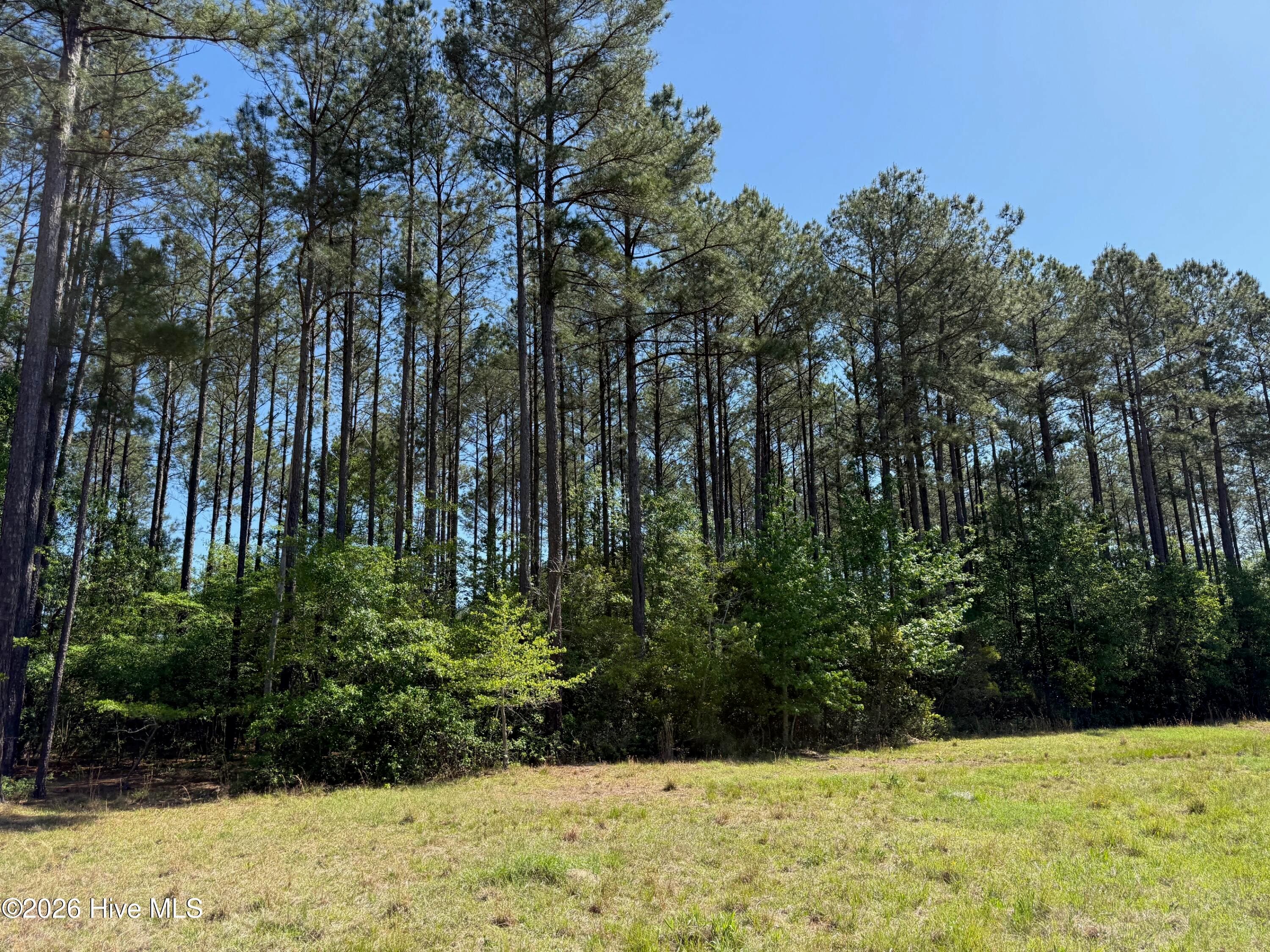 Wooded at 20.51 Acre Sweat Drive, Bladenboro, NC 28320, photo 3 of 16