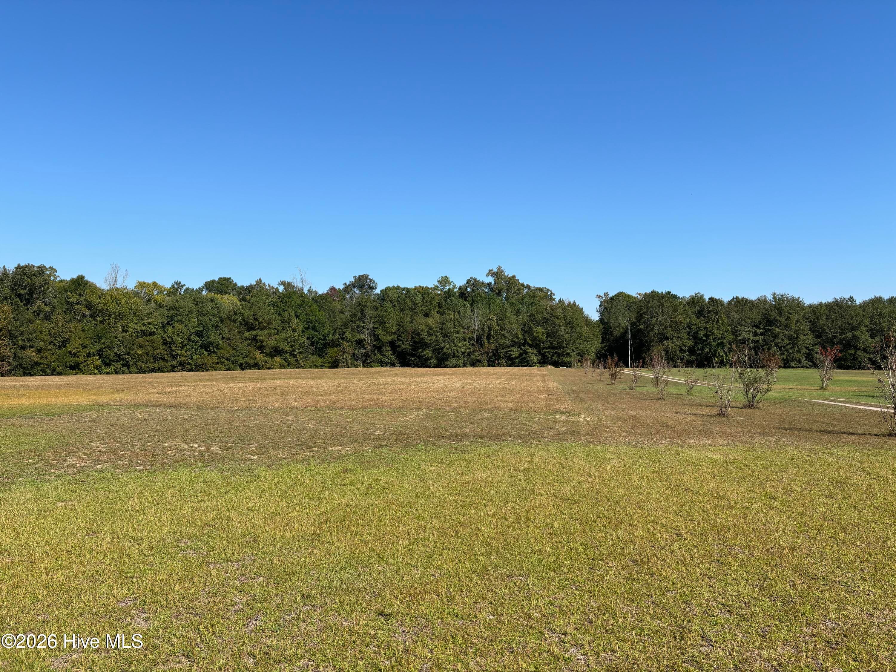 Front view from building - 593 La Wane Lane, Trenton, NC 28585