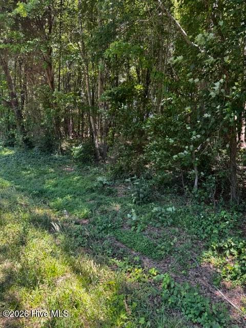 Undeveloped at Lot 1 Dan Road, Robbins, NC 27325, photo 7 of 22