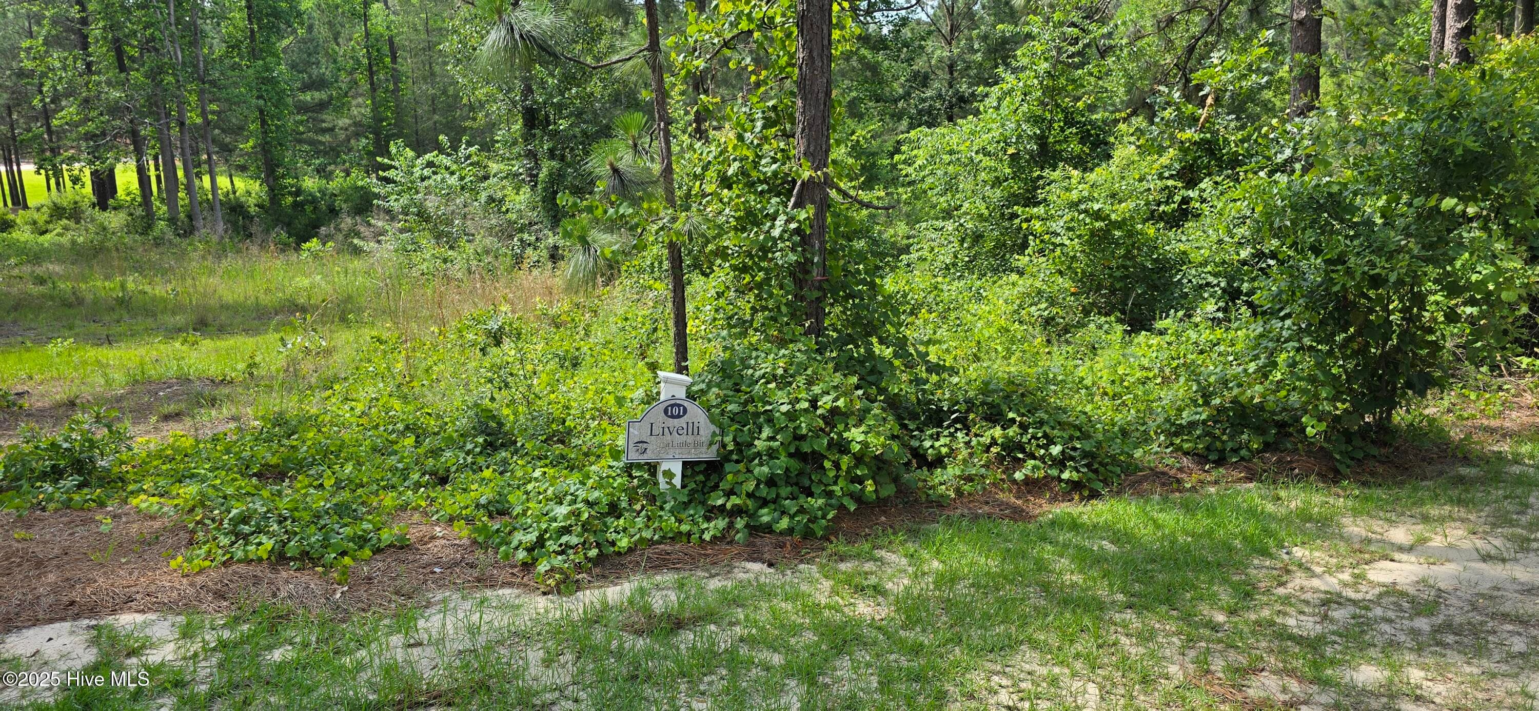 101 3207R Owens Circle, Seven Lakes, NC 27376