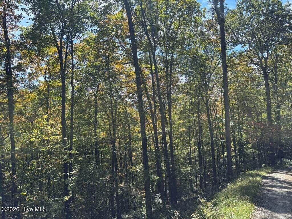Residential Lot at 3 Holly Ridge Drive, Topton, NC 28781, photo 2 of 3