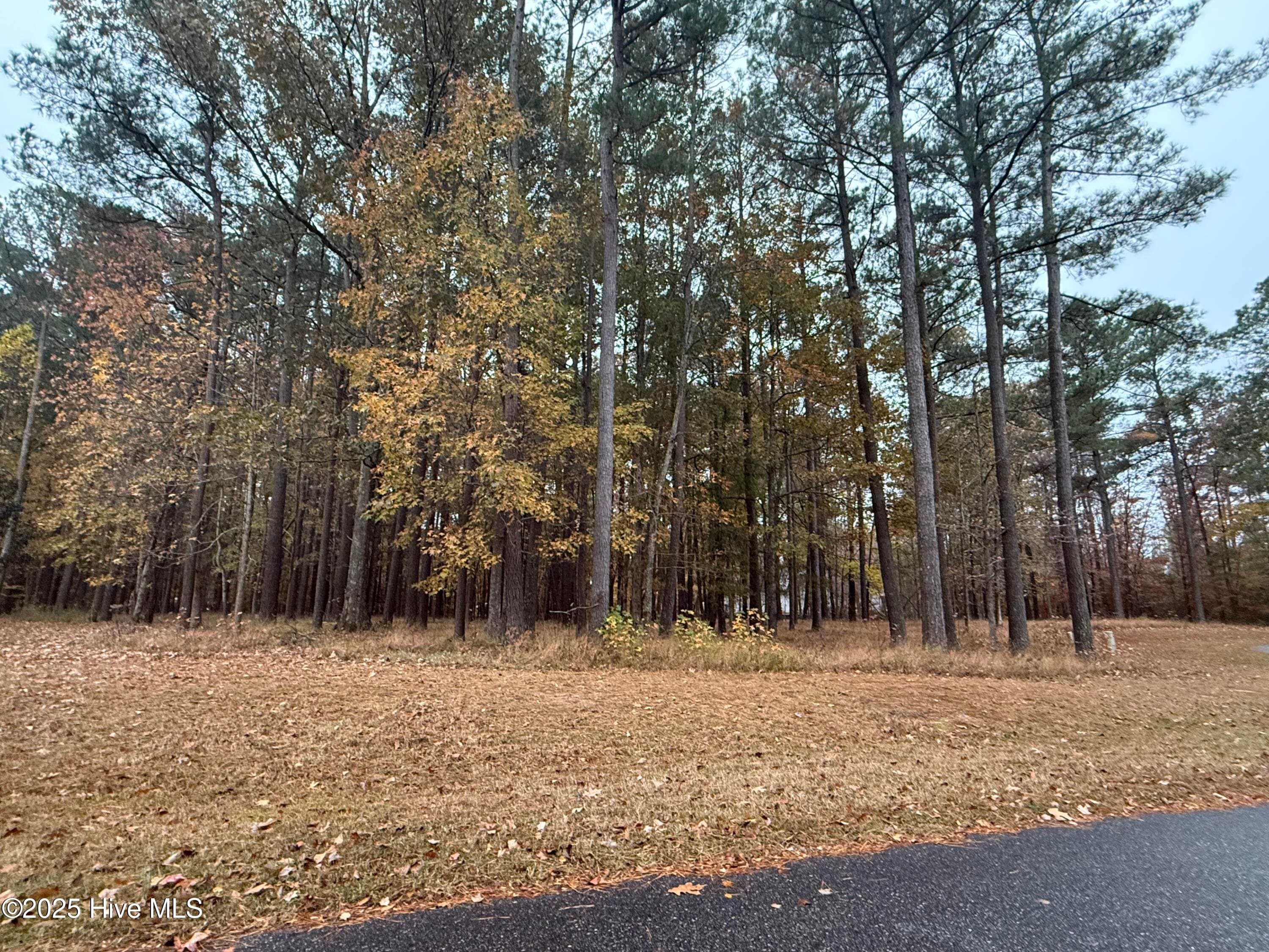 13 Mattaponi Drive, Hertford, NC 27944