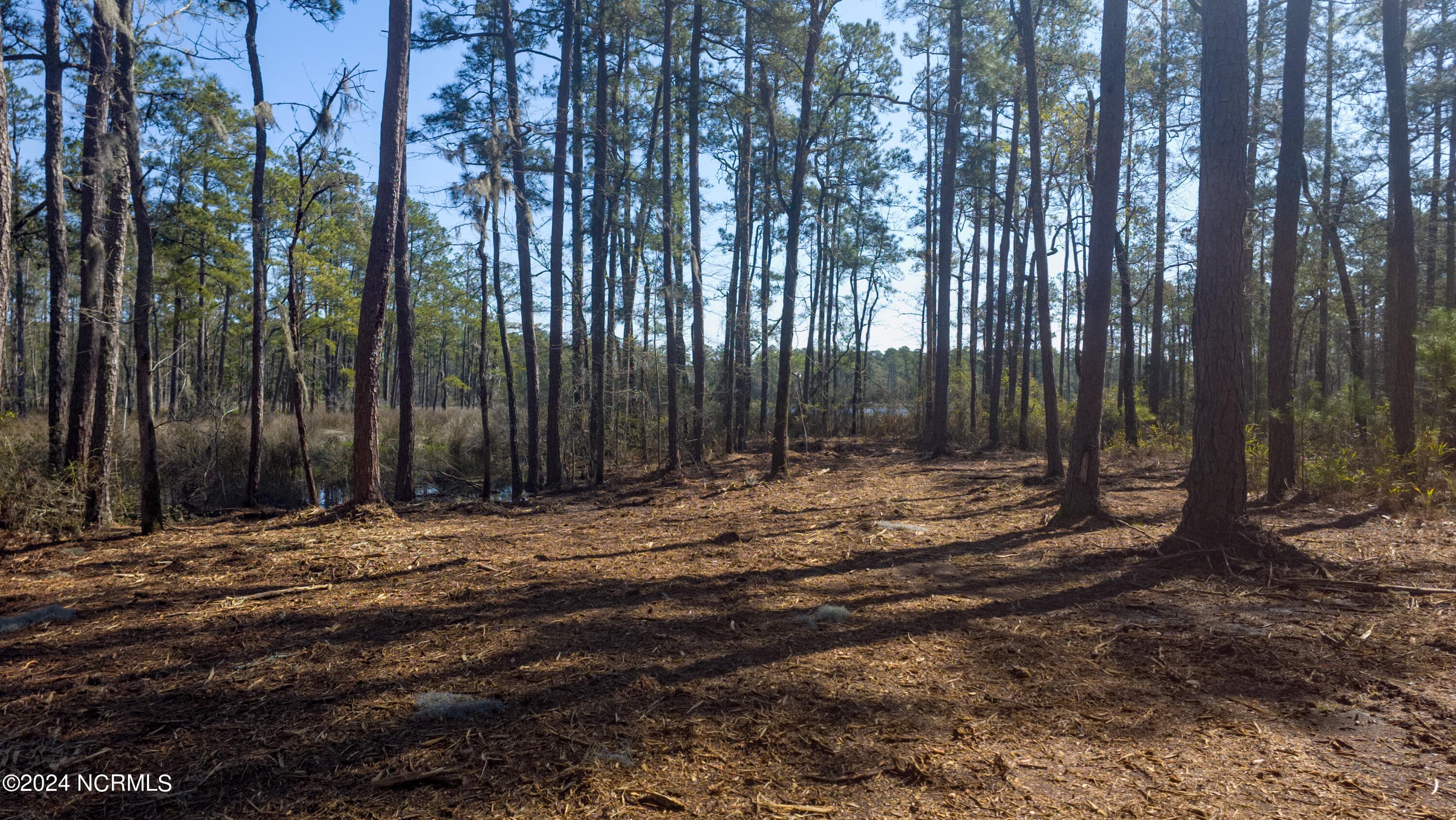 Residential Land at 15 Alexander Drive, Belhaven, NC 27810, photo 10 of 15