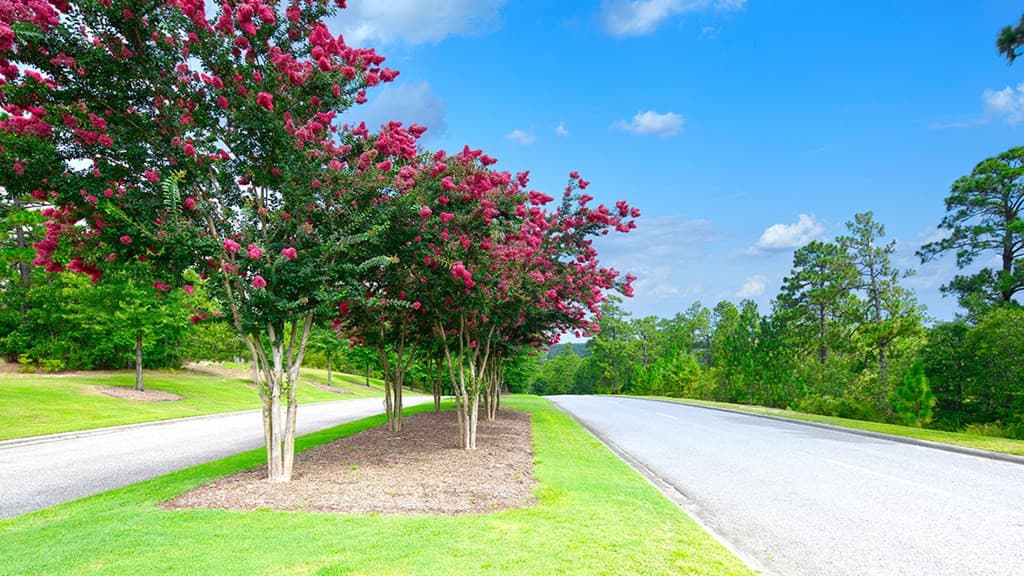Single Family Residence at 676 Lytham Drive, Aiken, SC 29801, photo 21 of 74