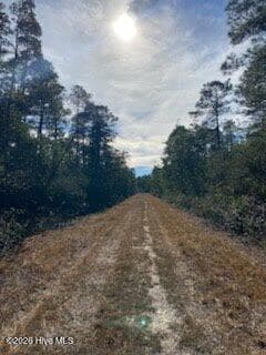 Residential Lot at 743 & 744 743&744&745 Gibralter Road, Boiling Spring Lakes, NC 28461, photo 4 of 4