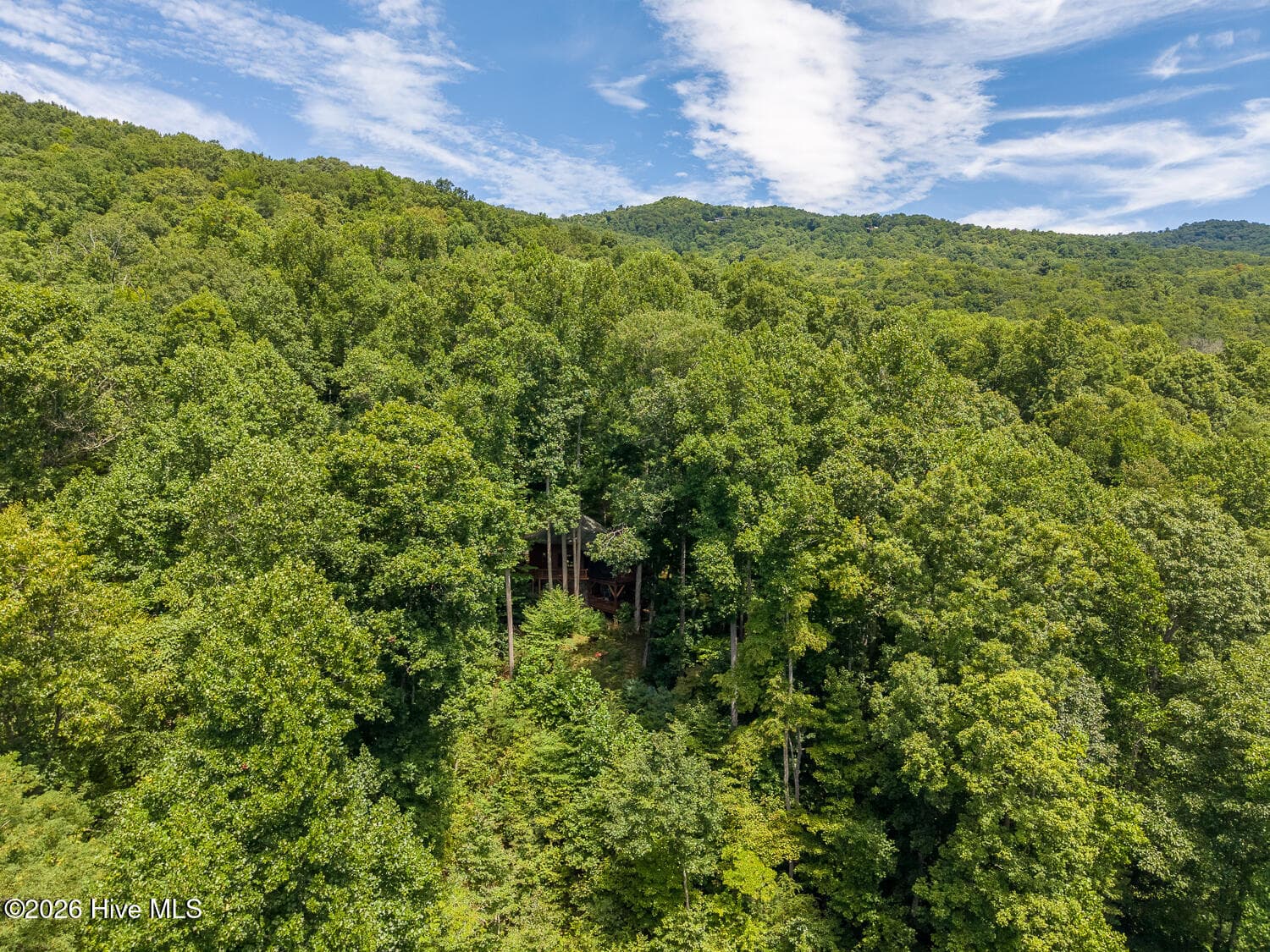 Single Family Residence at 204 Mountain Laurel Drive, Bryson City, NC 28713, Bryson City, photo 71 of 73