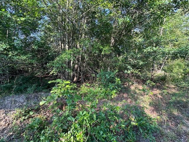 Undeveloped at 2576 Jessie James Pond Road, Wrens, GA 30833, photo 50 of 56