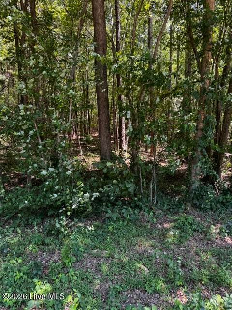 Undeveloped at Lot 1 Dan Road, Robbins, NC 27325, photo 6 of 22