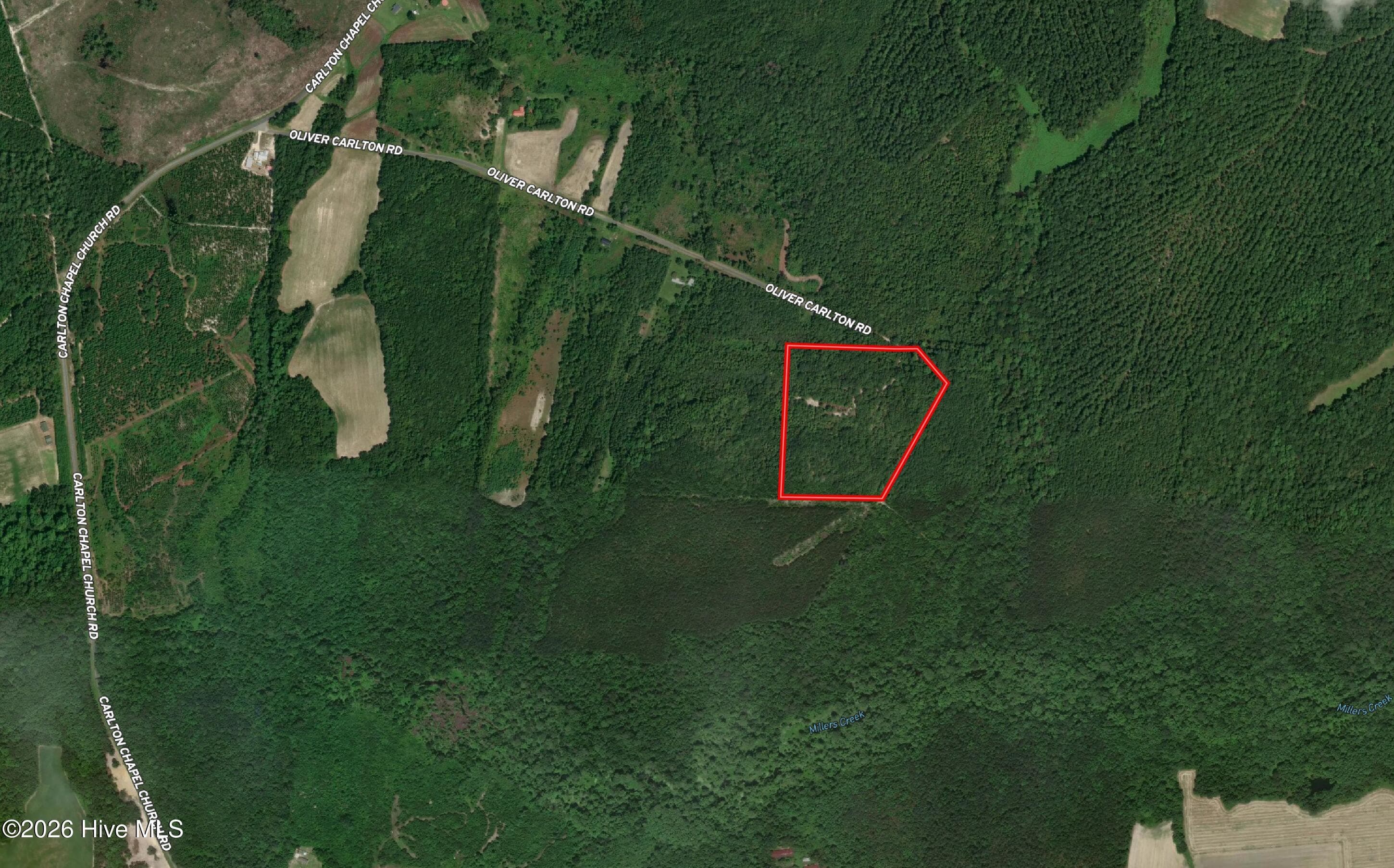 Wooded at Tbd Oliver Carlton Road, Warsaw, NC 28398, photo 5 of 17
