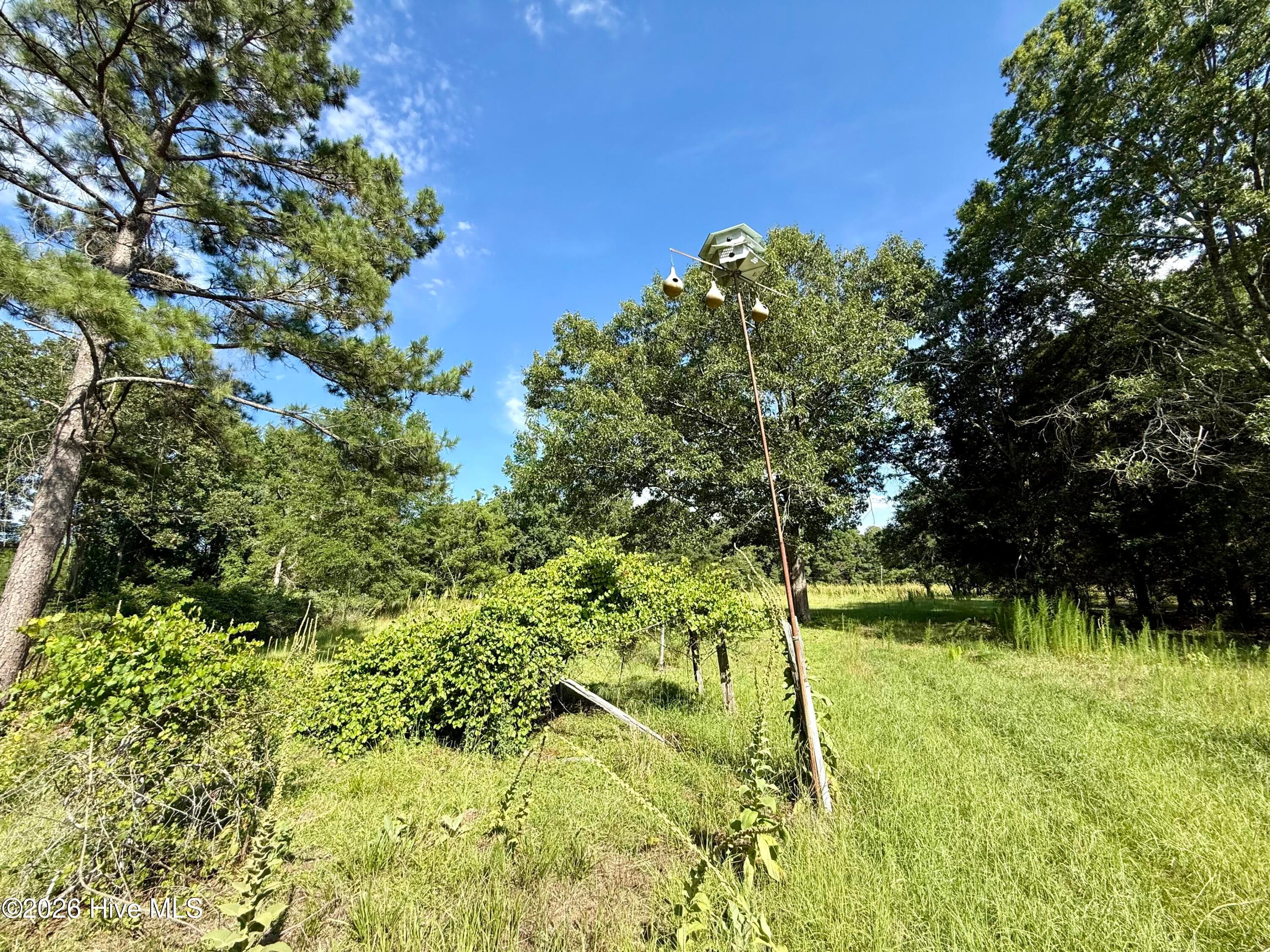 Undeveloped at Tbd Roberdel School Road, Rockingham, NC 28379, photo 22 of 41