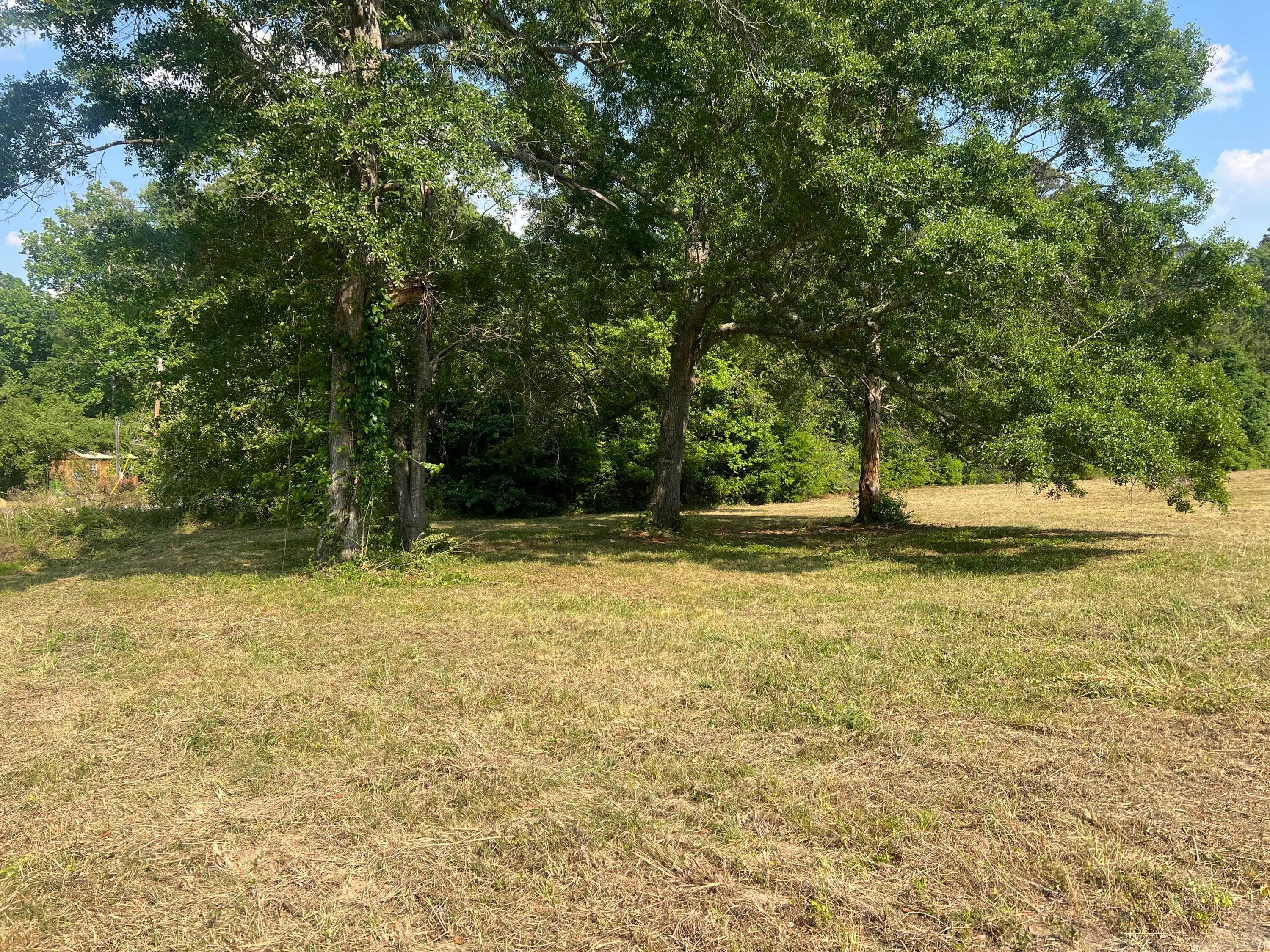 Residential Lot at 323 Forrest Clary Drive, Thomson, GA 30824, photo 3 of 13