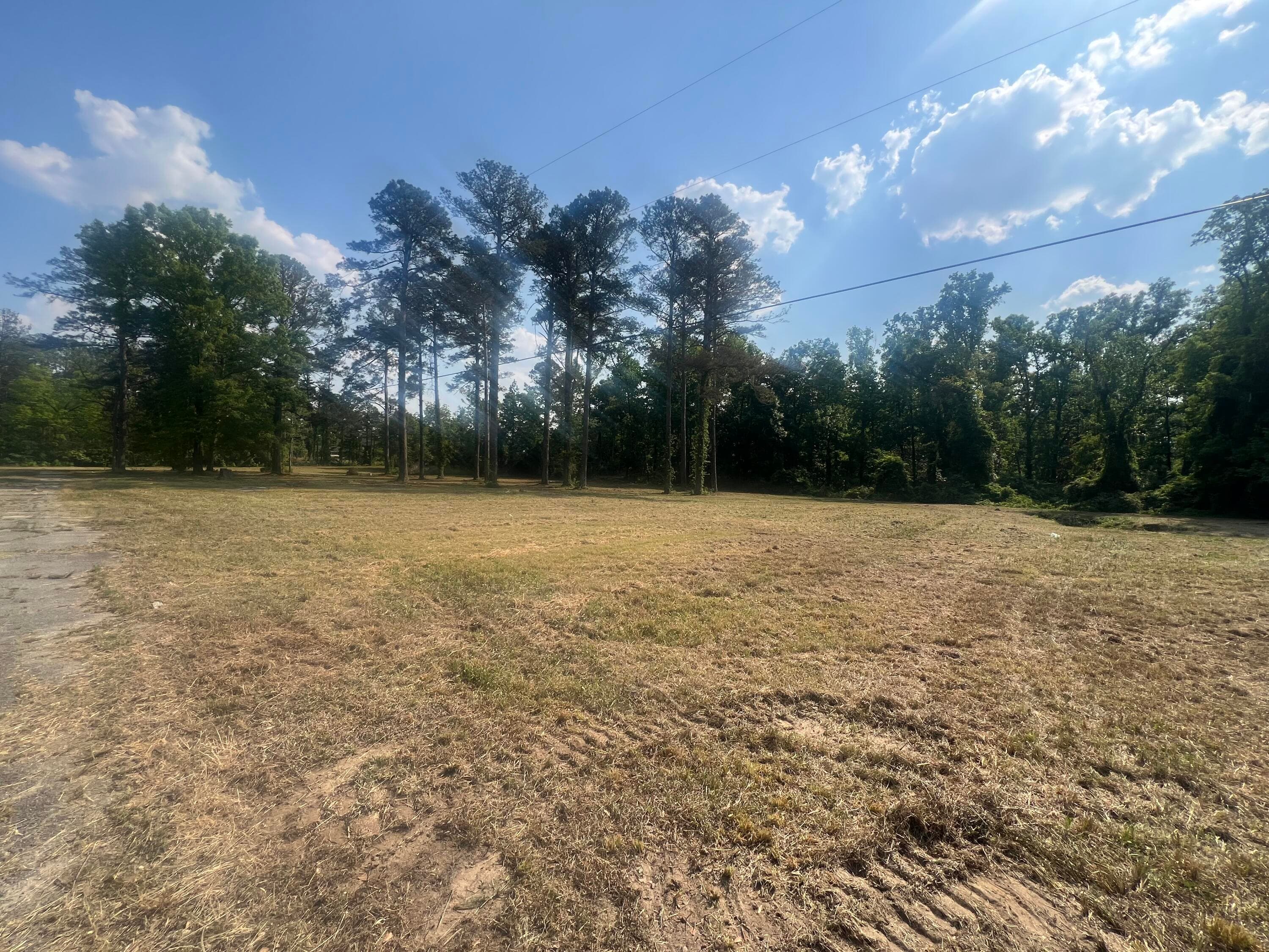 Residential Lot at 323 Forrest Clary Drive, Thomson, GA 30824, photo 4 of 13
