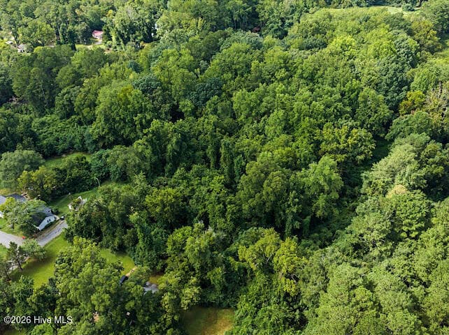 Wooded at Tbd Cedar Street, Rockingham, NC 28379, photo 7 of 18