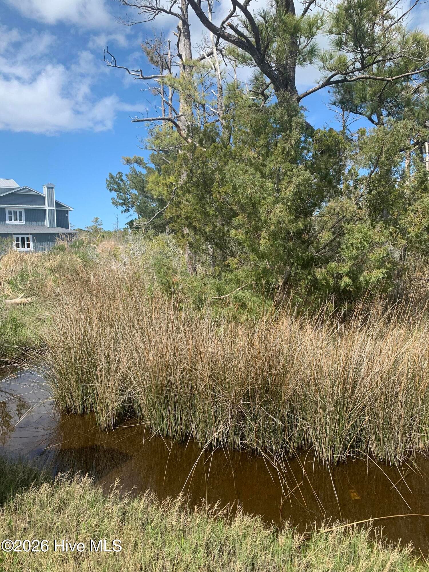 Residential Lot at 505 Shell Hill Road, Sea Level, NC 28577, photo 2 of 2