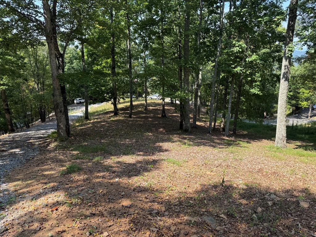 Residential Lot at 123 Madison Lane, Murphy, NC 28906, photo 6 of 10