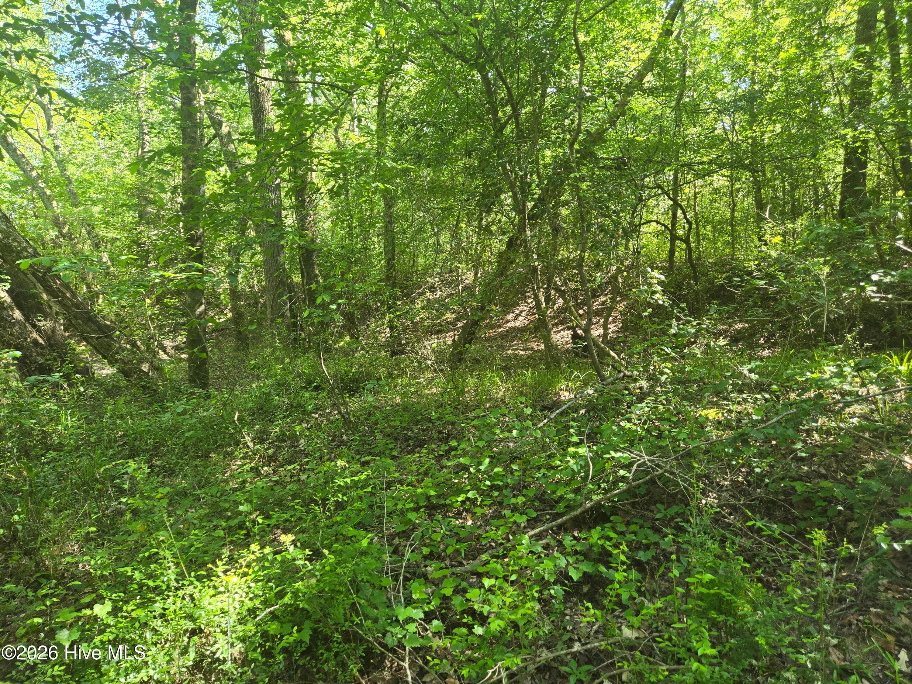 234 Circle Drive, Vass, NC 28394