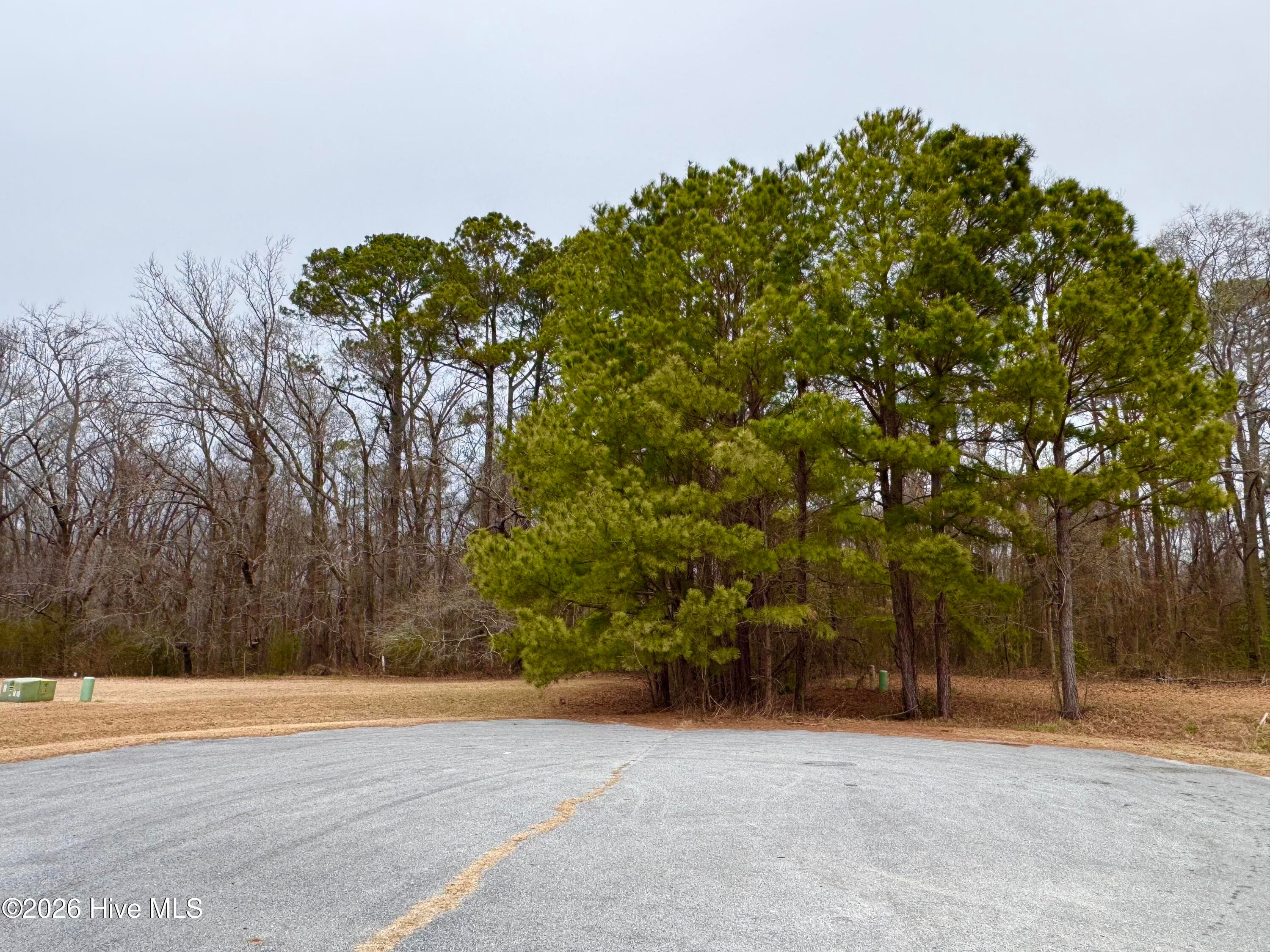 Residential Lot at 102 Colt Court, Pikeville, NC 27863, photo 6 of 6