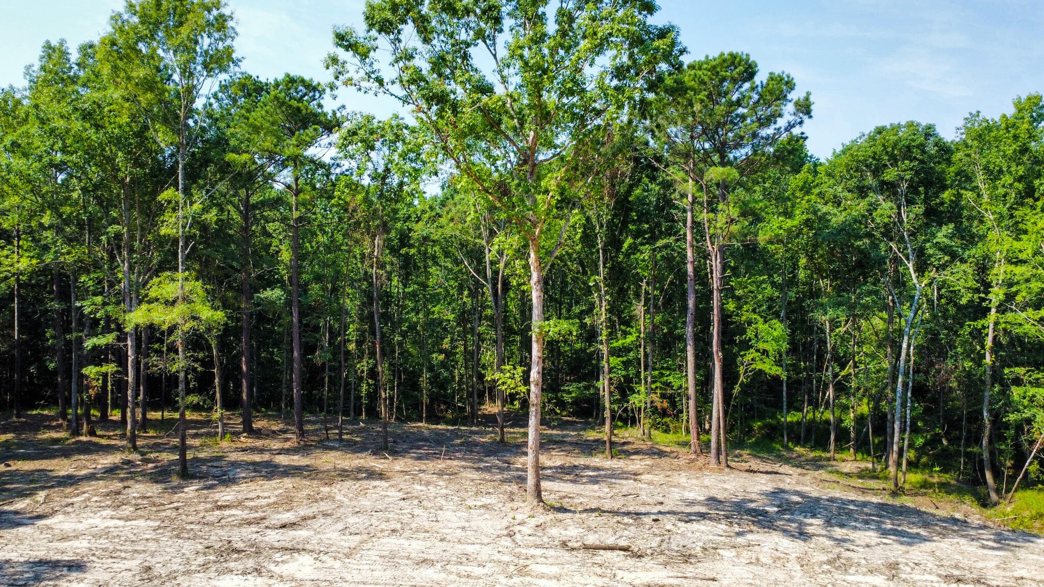 Undeveloped at 0 Backway Road, Lincolnton, GA 30817, photo 30 of 48