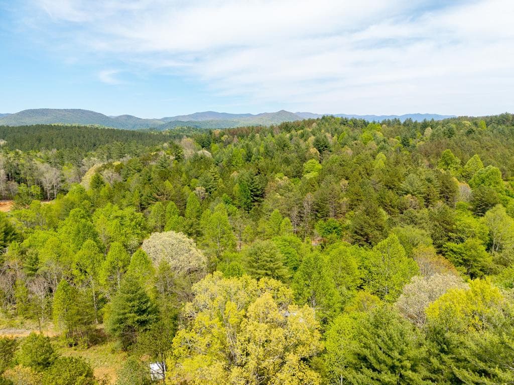 125 Milk And Honey Drive, Murphy, NC 28902