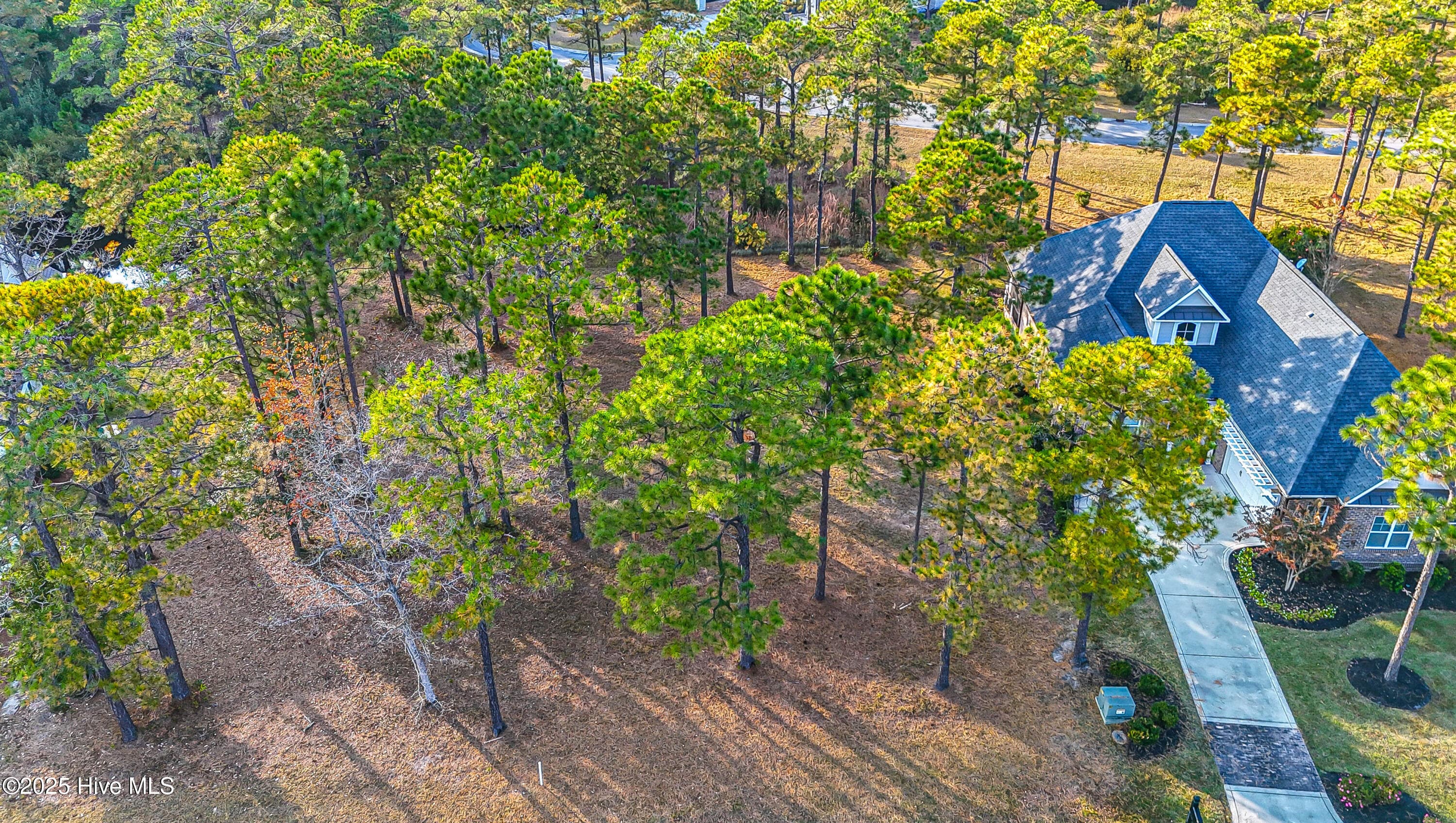 Residential Lot at 6649 65 Summerhill Glen SW, Ocean Isle Beach, NC 28469, photo 14 of 21