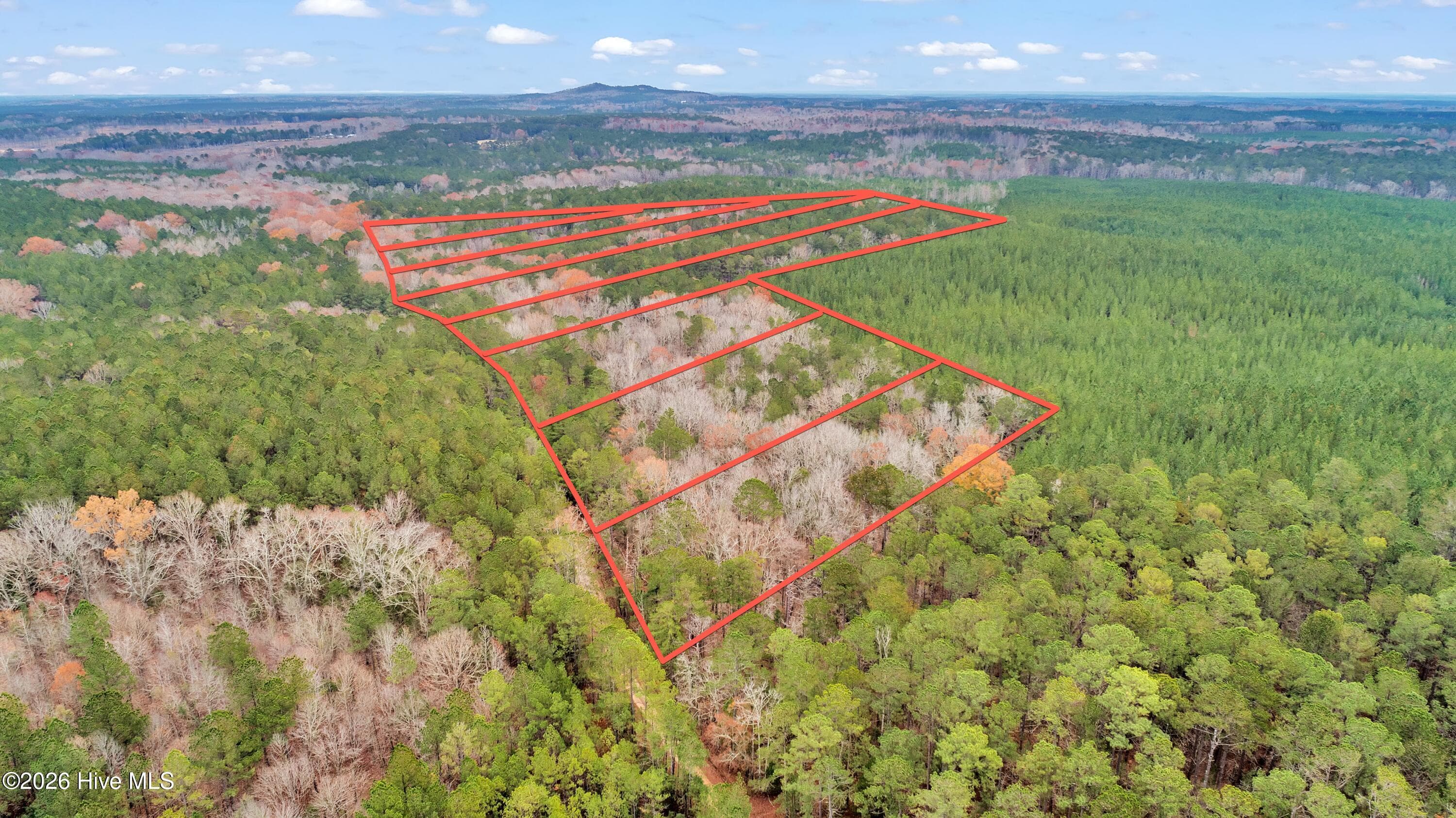 Agriculture at Lot 4 Saggus Road, Washington, GA 30673, photo 19 of 25