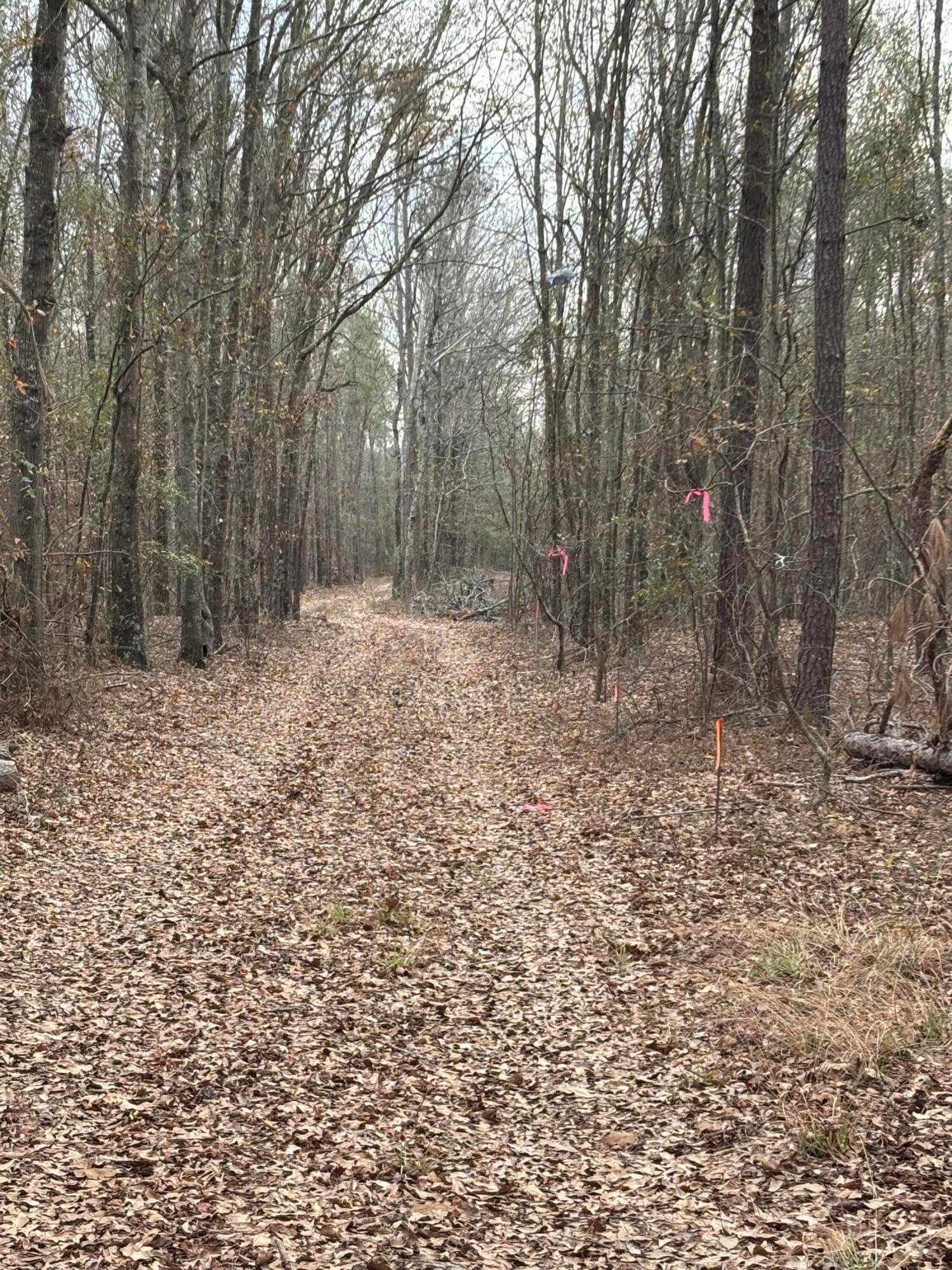 Undeveloped at 745 Wright Allen Road, Blythe, GA 30805, photo 2 of 18