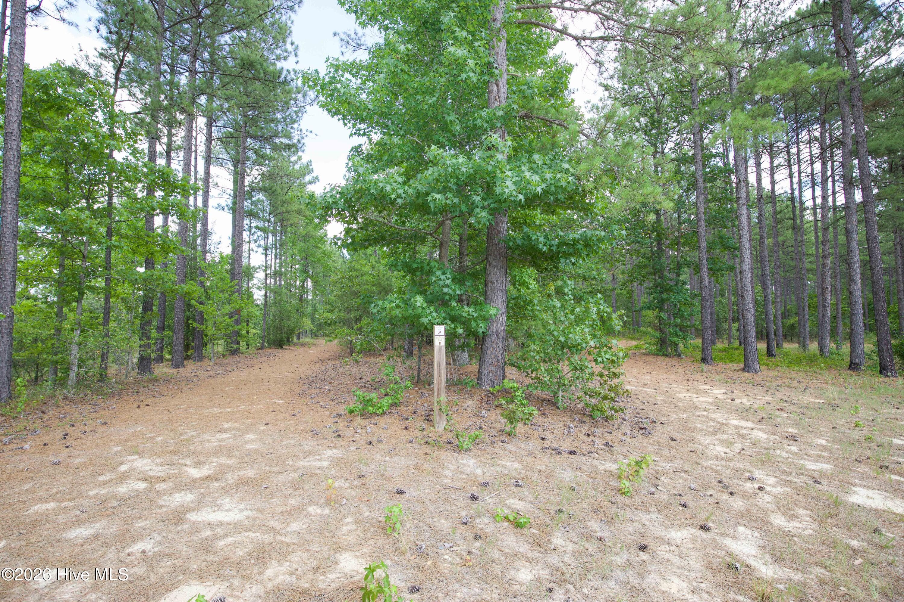 Horse Farm at 220 44B Justin Way, Foxfire Village, NC 27281, photo 32 of 69