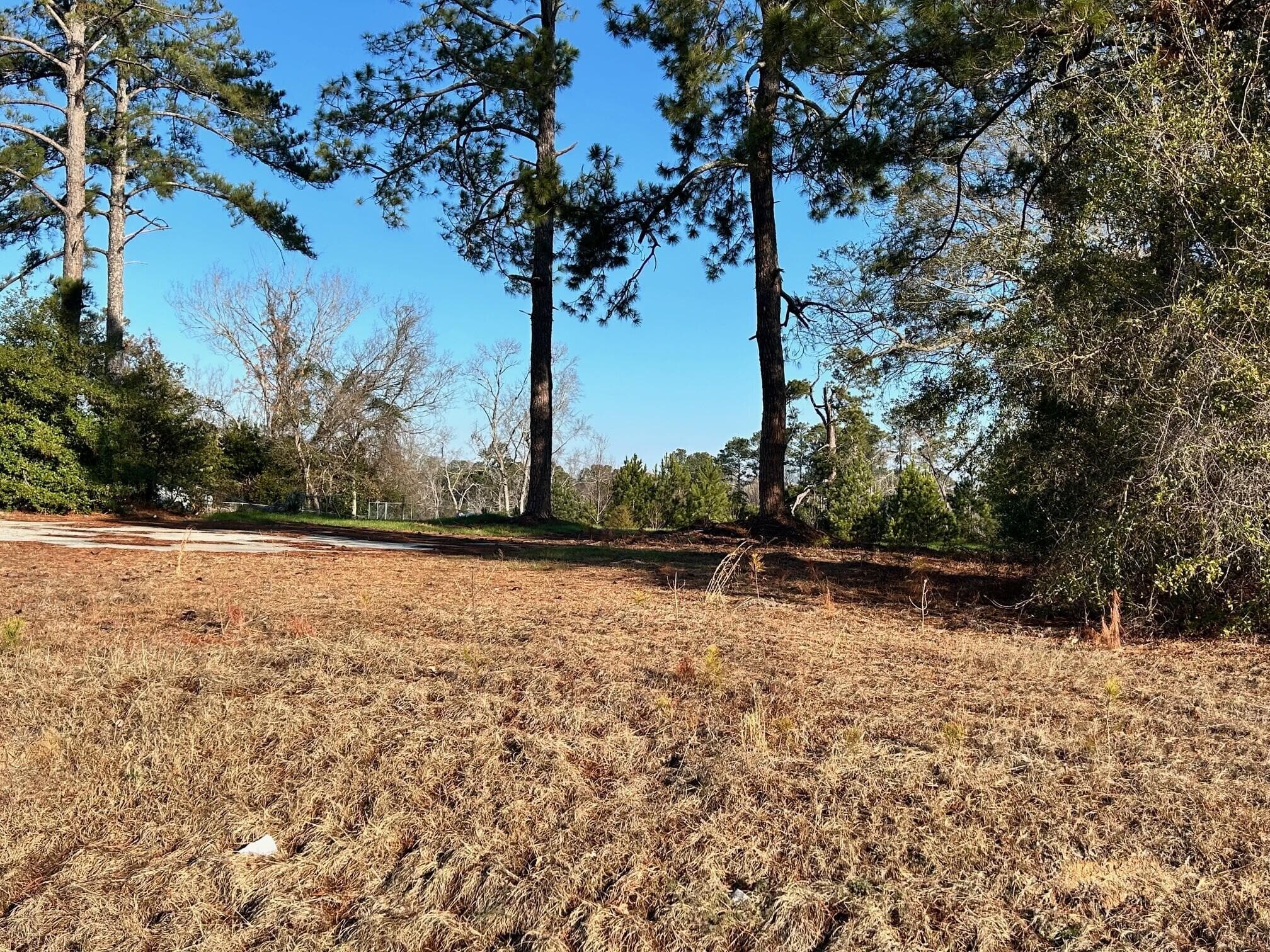 Mixed Use at 4341 Columbia Road, Augusta, GA 30907, photo 5 of 5
